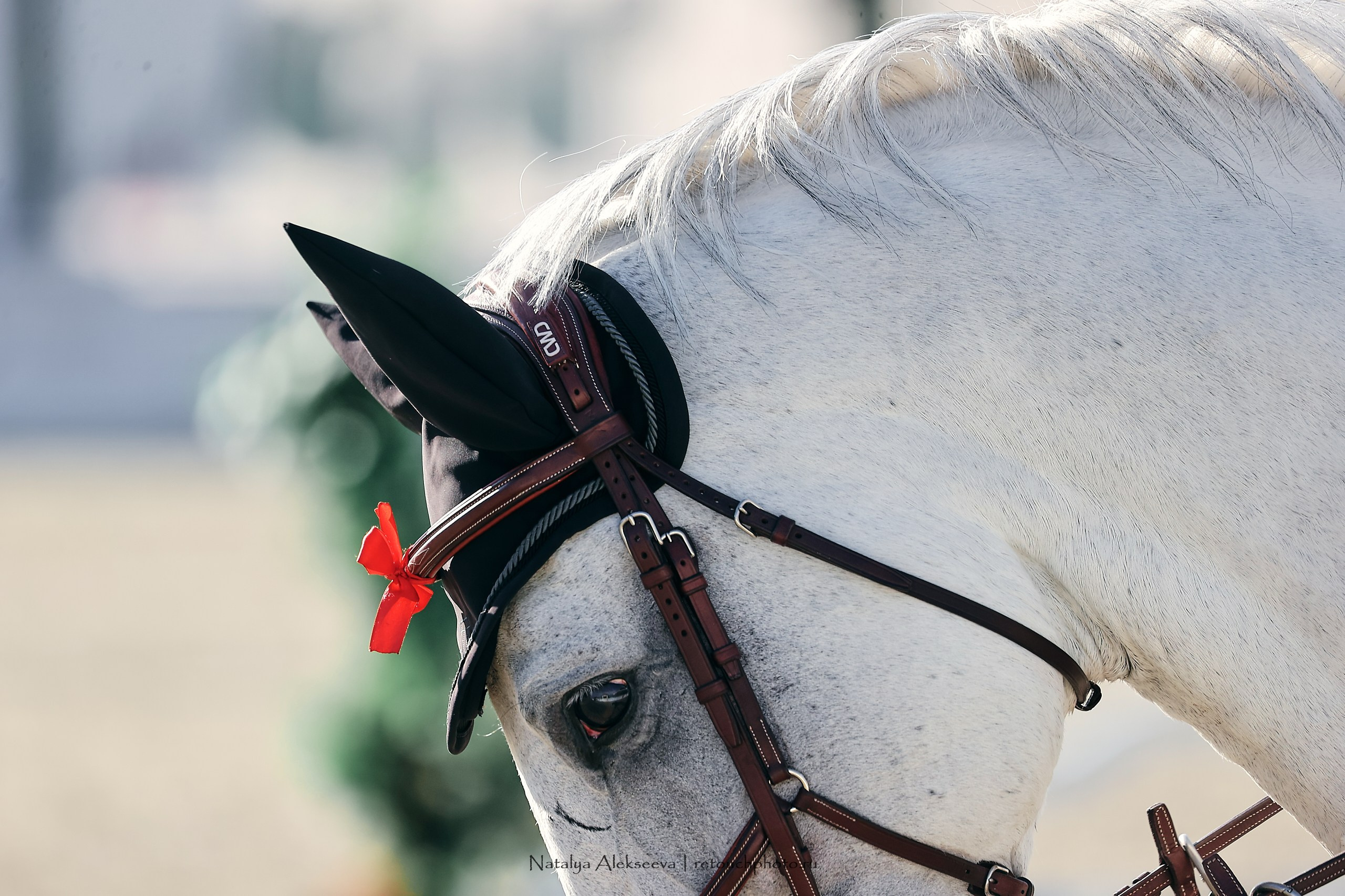 Евразийские игры по конкуру, Maxima Stables | 07'2023. Репортажный фотограф и ретушер в Москве Наталья Алексеева