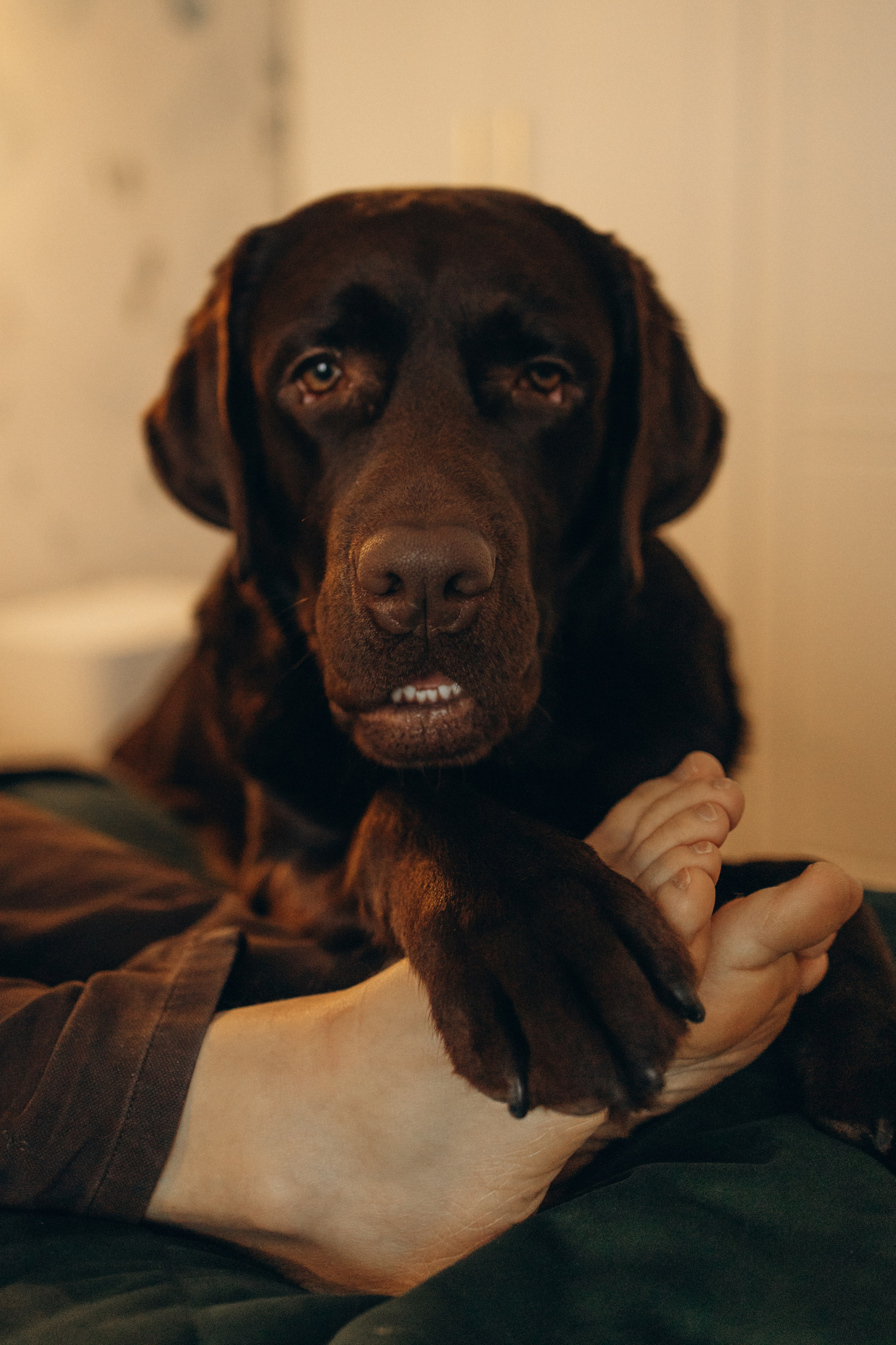 16. Семейный фотограф в Москве Жукова Анна