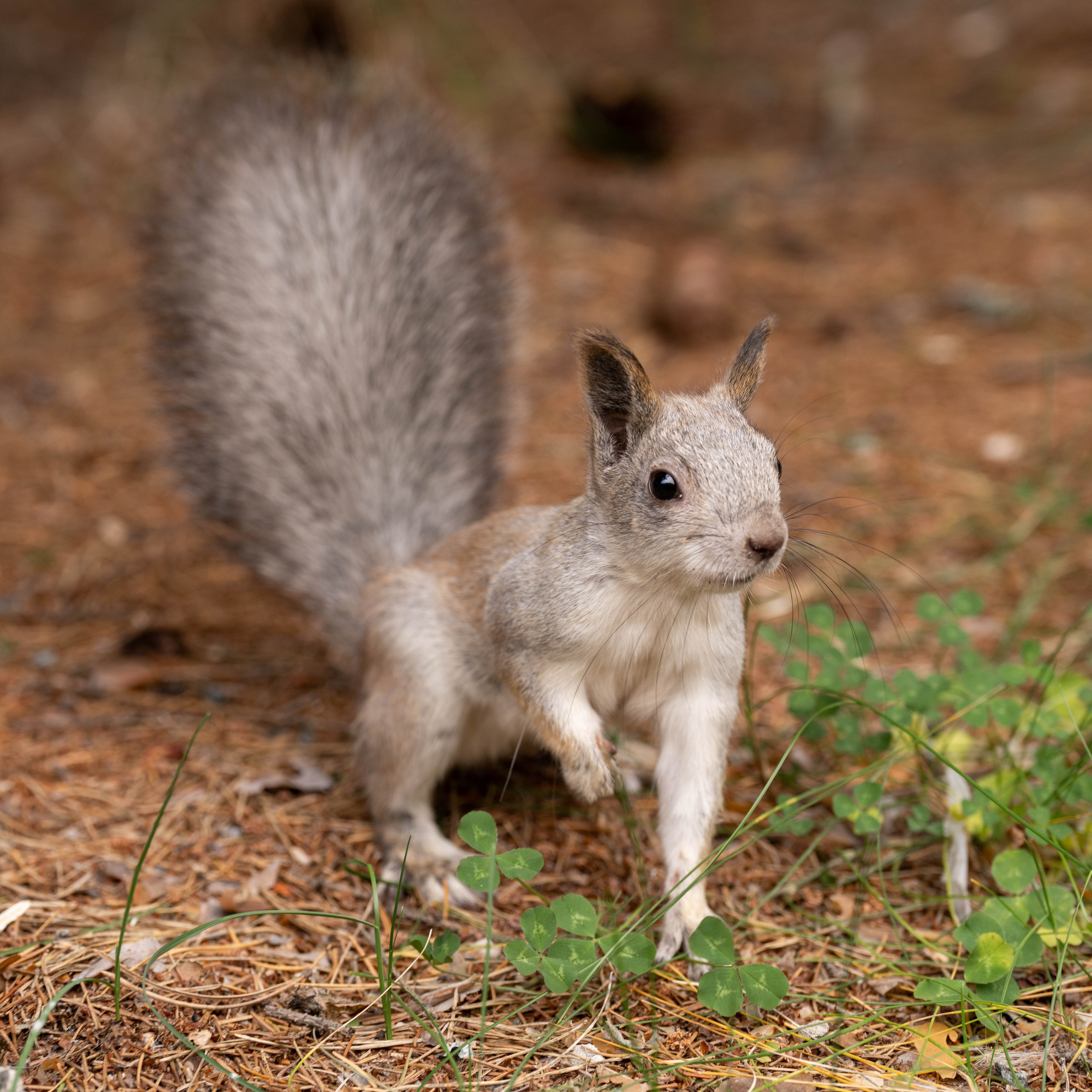 Курганская область. Daria wanderer photography