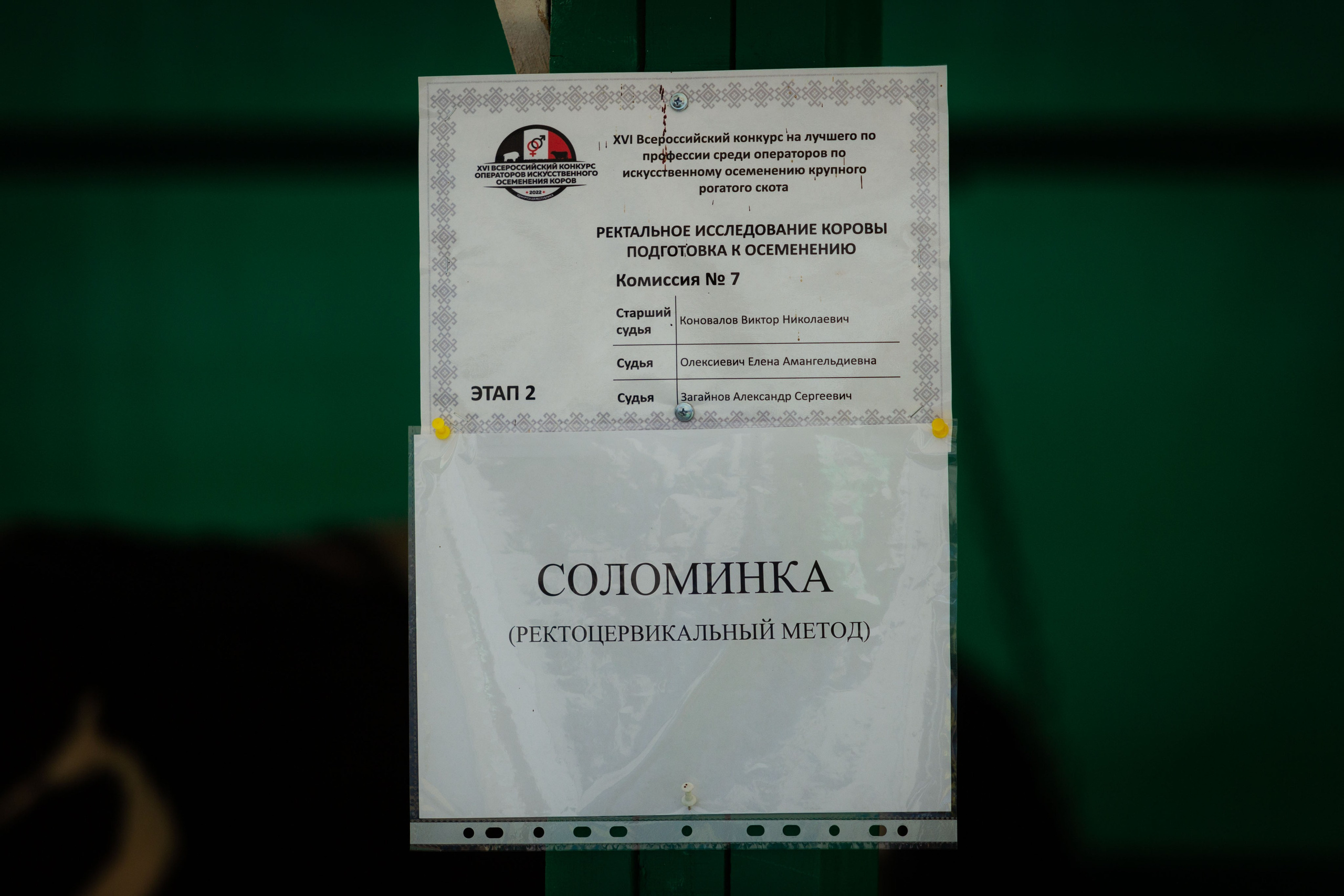 Конкурс операторов осеменения коров [17-18 августа 2022 г.]. Фотограф Виноградов Константин