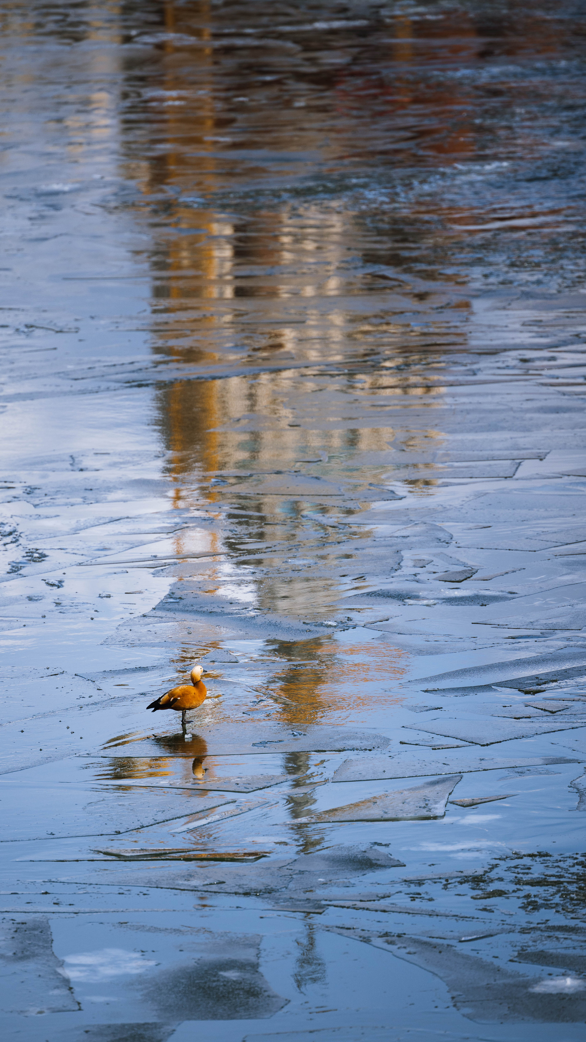 Moscow. Алексей Mollino… Фотографии и немножечко больше