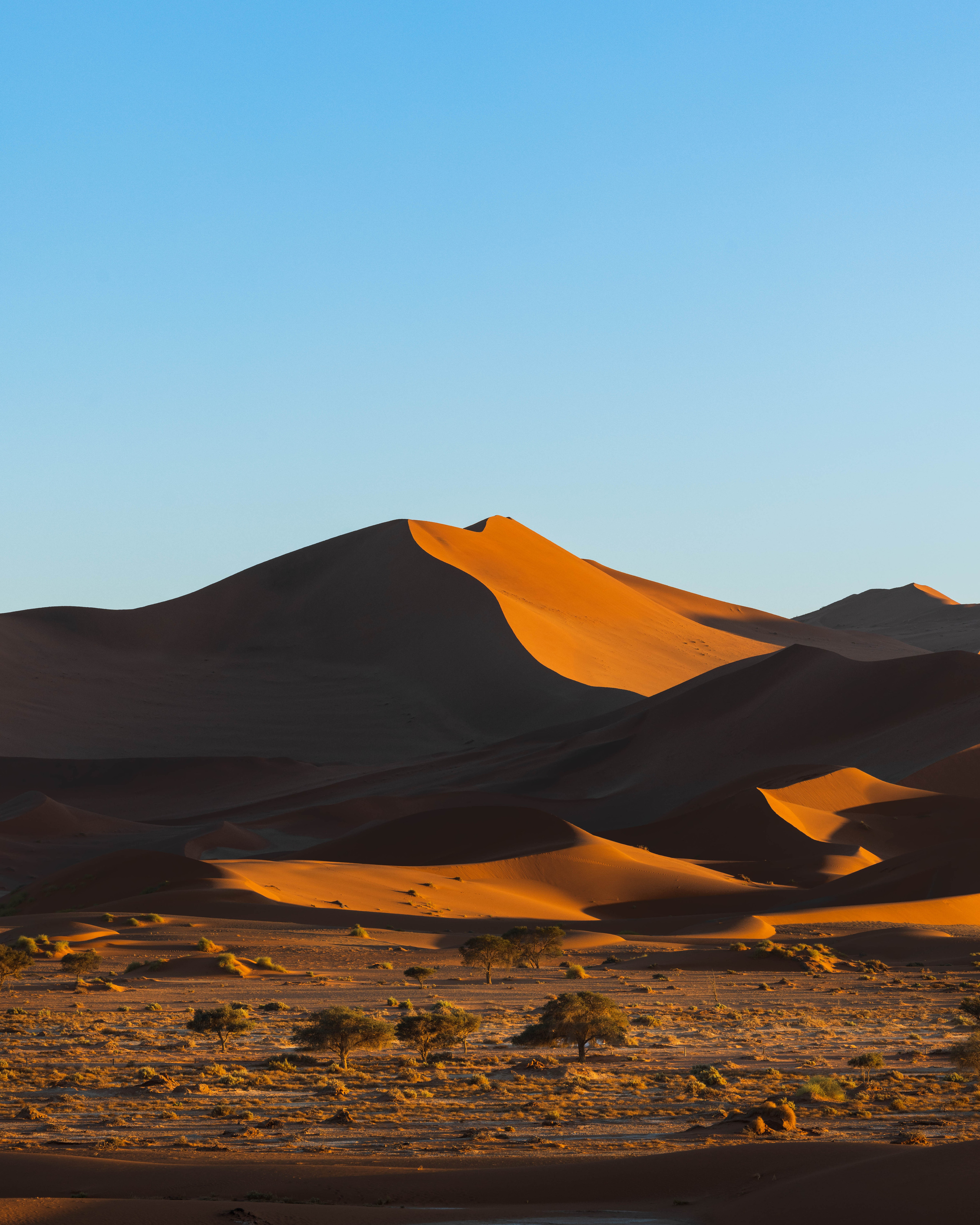 Namibia. Алексей Mollino… Фотографии и немножечко больше