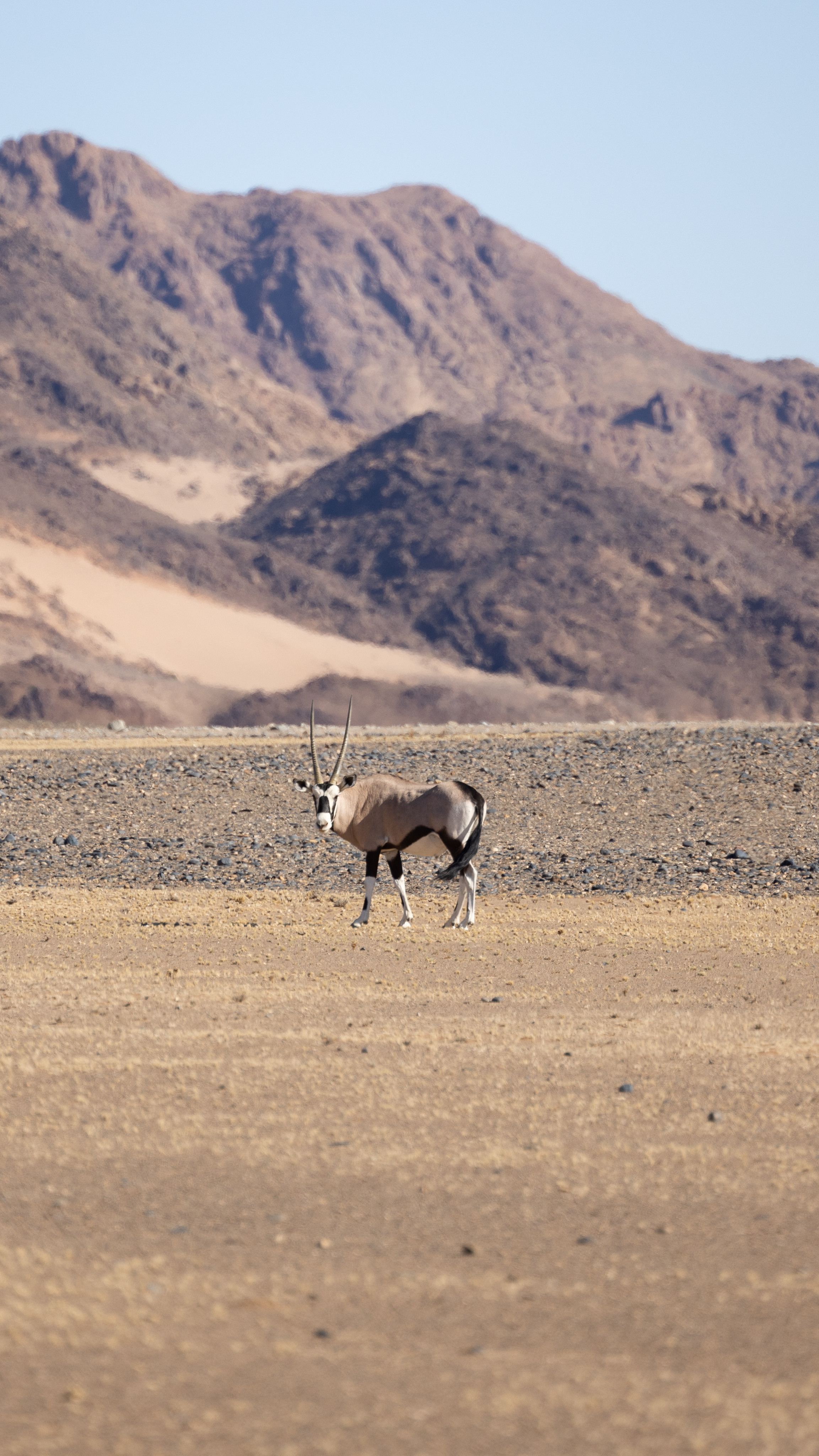 Namibia. Алексей Mollino… Фотографии и немножечко больше