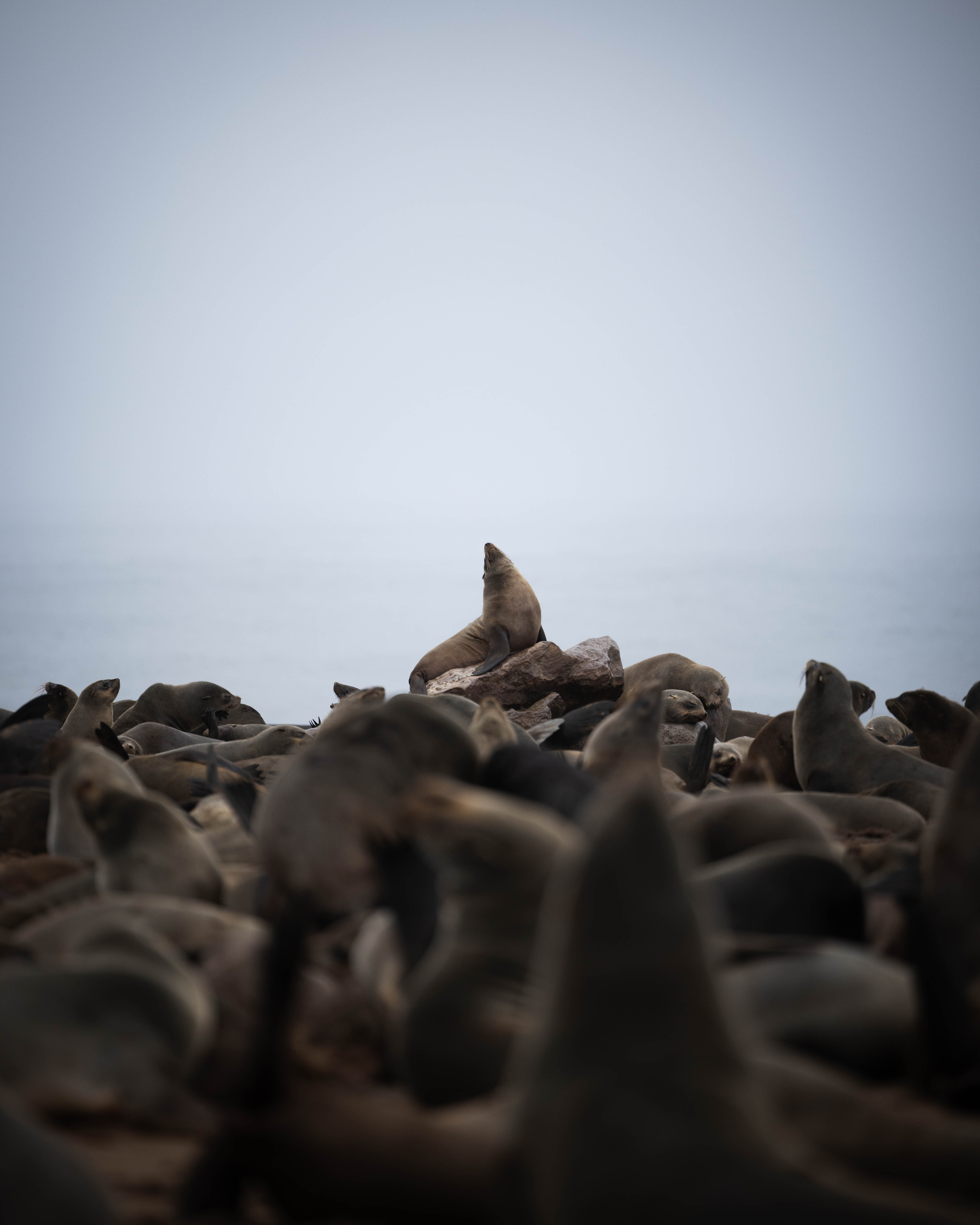 Namibia. Алексей Mollino… Фотографии и немножечко больше