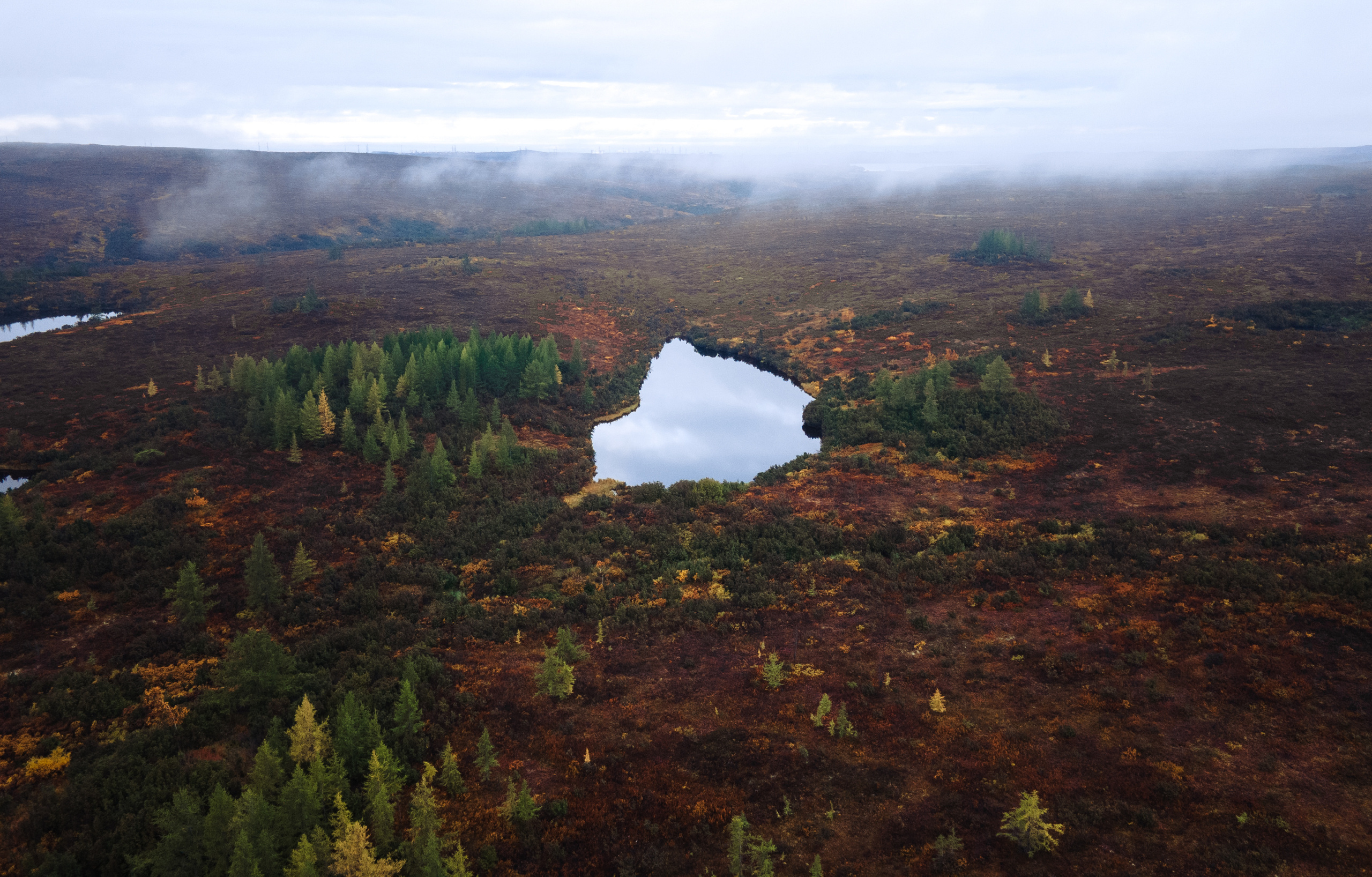 TAIMYR. Алексей Mollino… Фотографии и немножечко больше