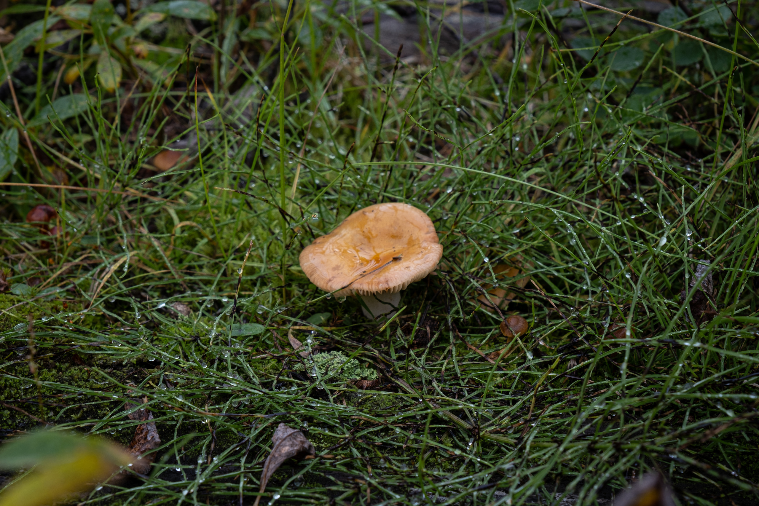 TAIMYR. Алексей Mollino… Фотографии и немножечко больше