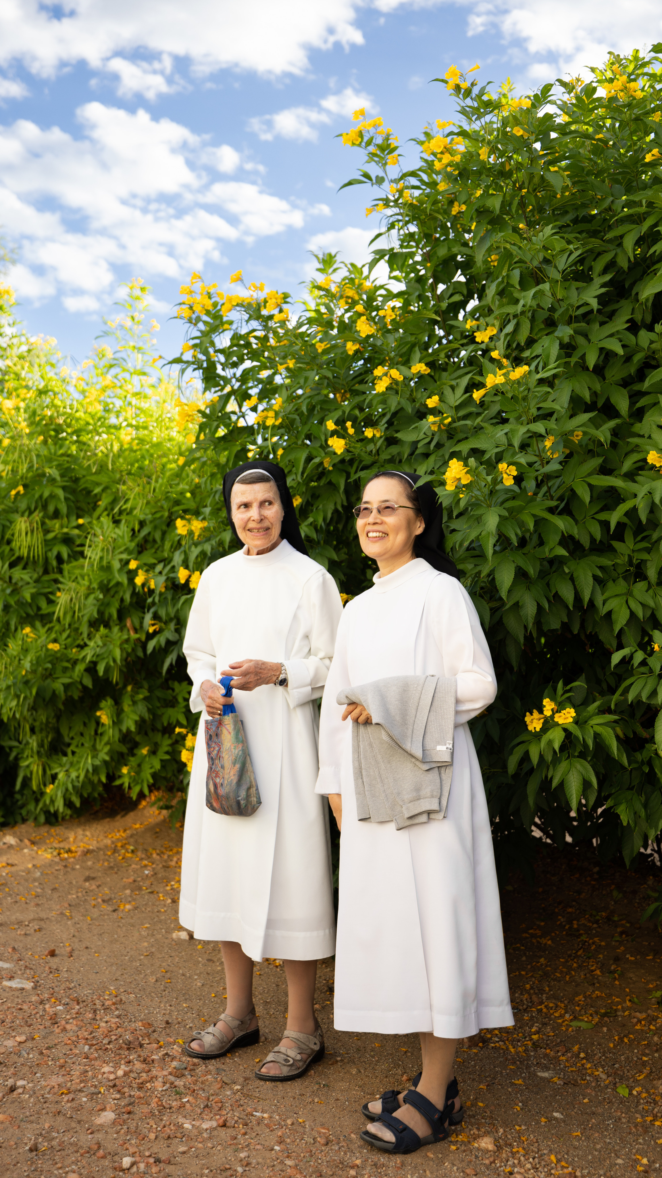 Namibia. Алексей Mollino… Фотографии и немножечко больше
