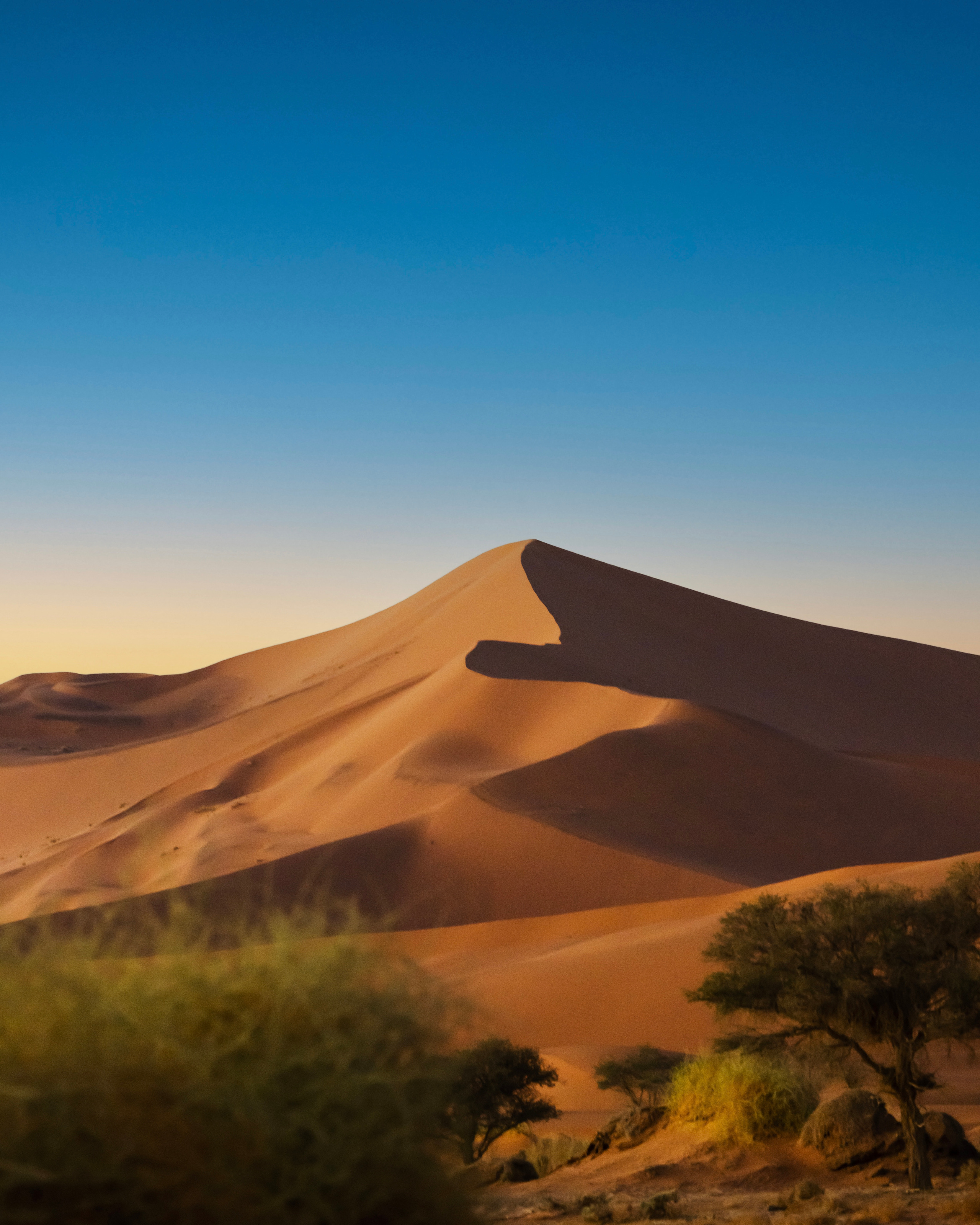 Namibia. Алексей Mollino… Фотографии и немножечко больше