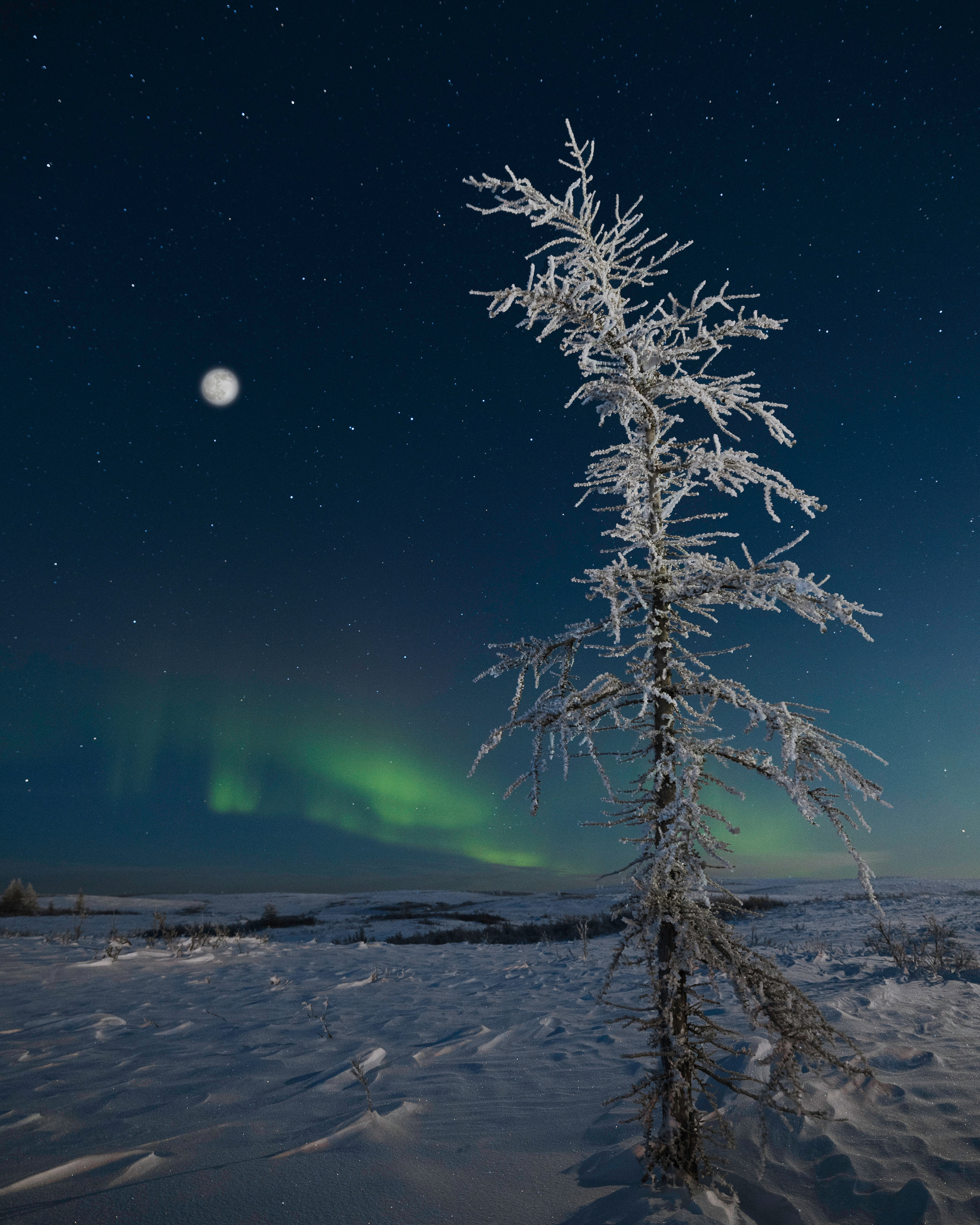 TAIMYR. Алексей Mollino… Фотографии и немножечко больше