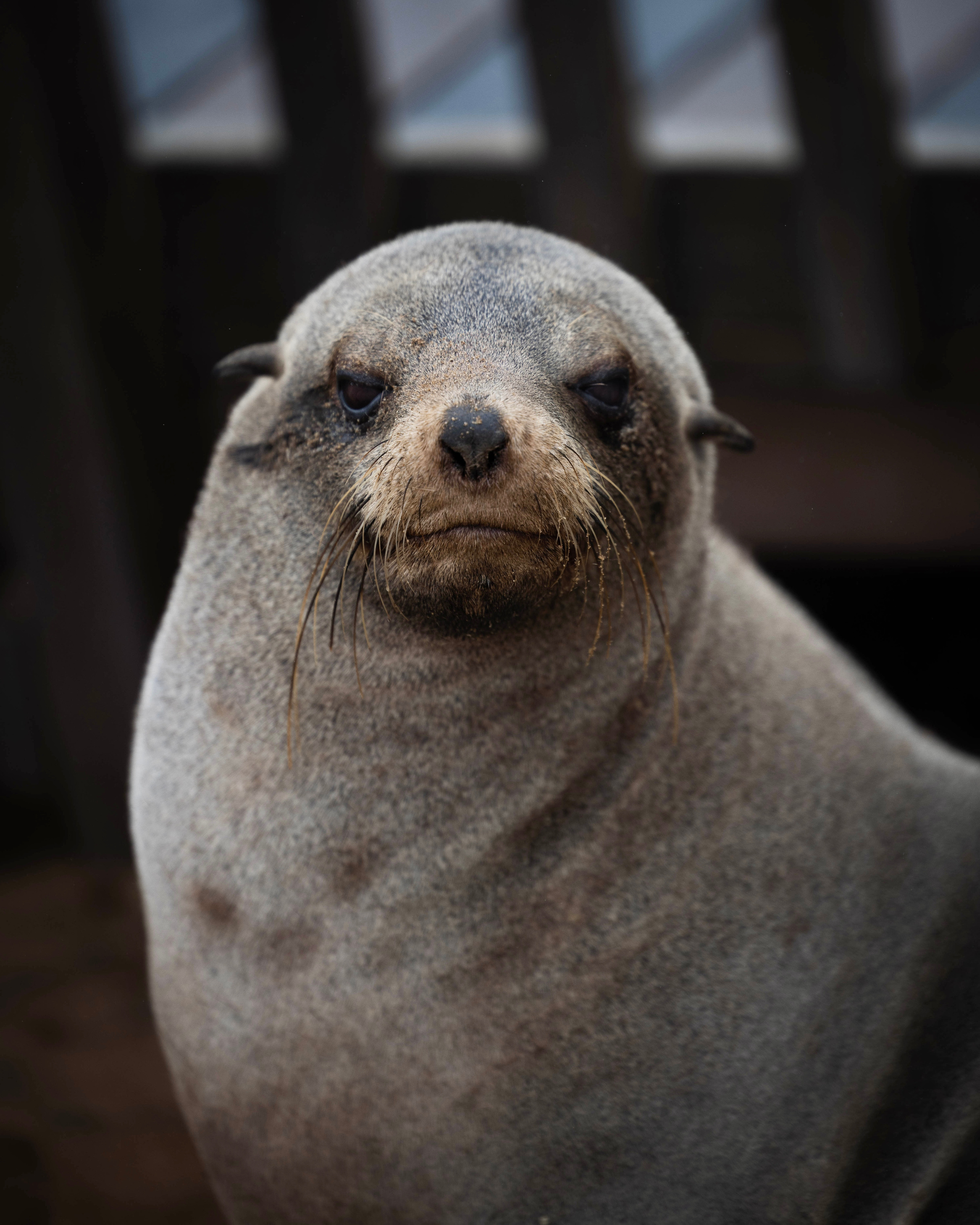 Namibia. Алексей Mollino… Фотографии и немножечко больше