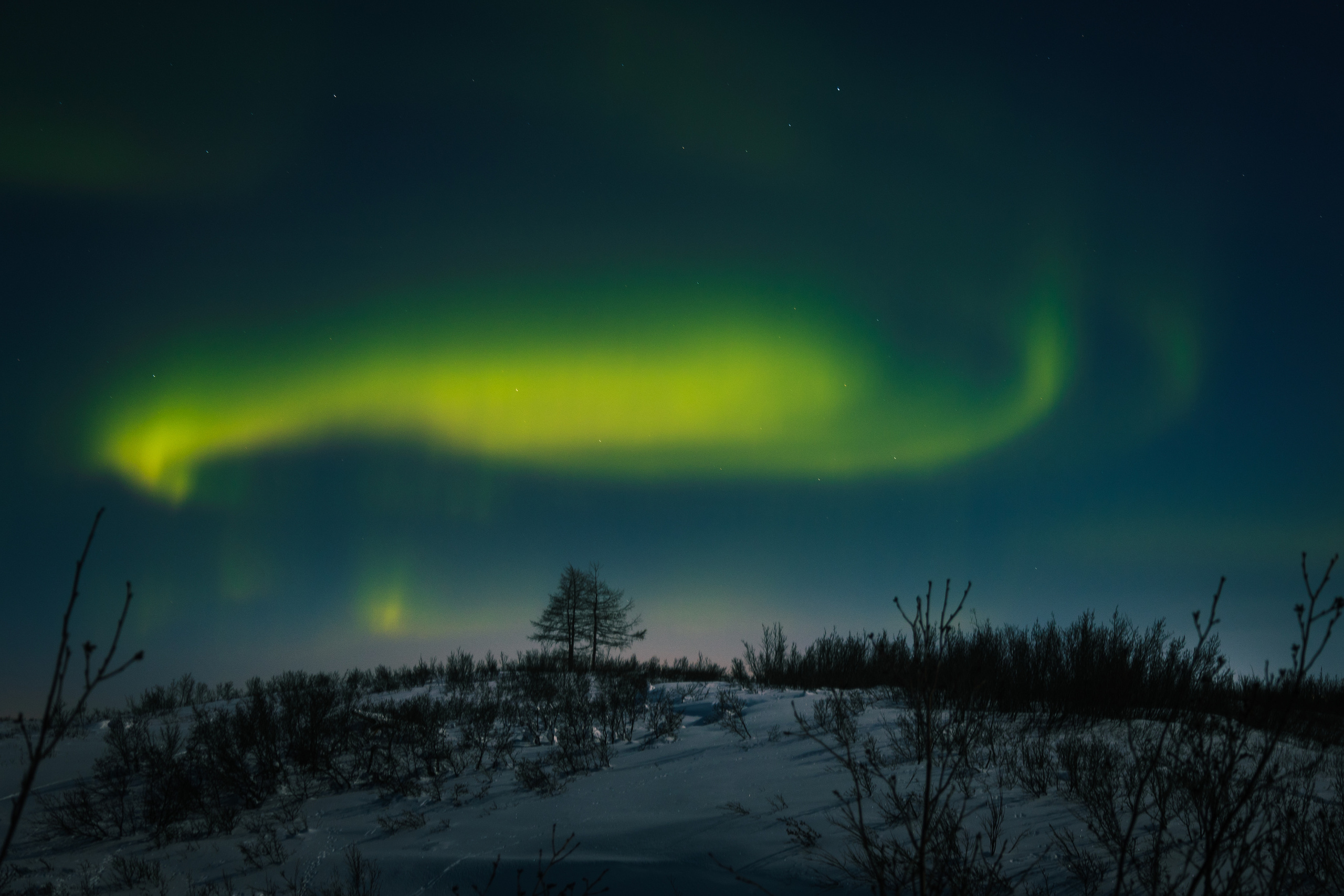 TAIMYR. Алексей Mollino… Фотографии и немножечко больше