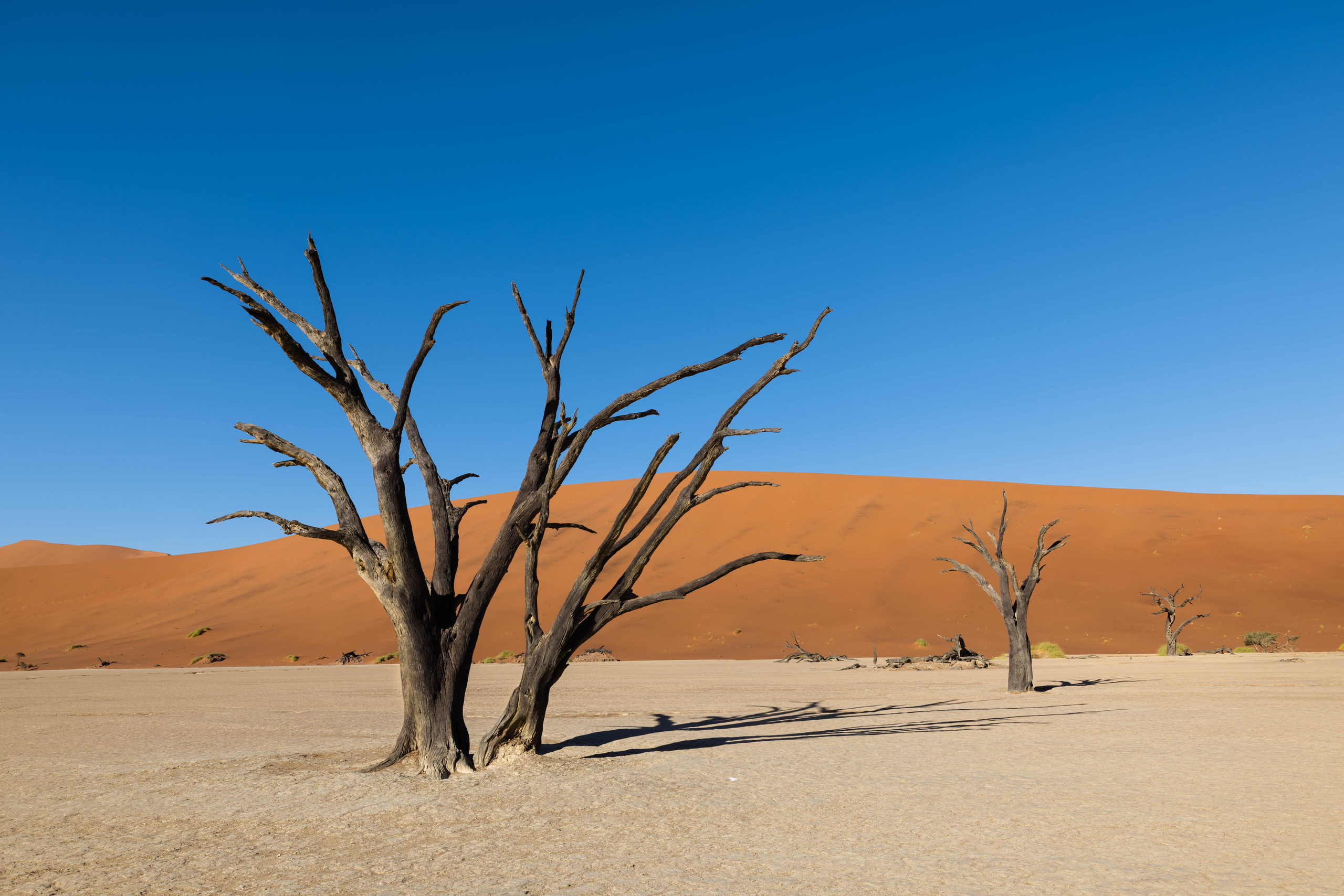 Namibia. Алексей Mollino… Фотографии и немножечко больше