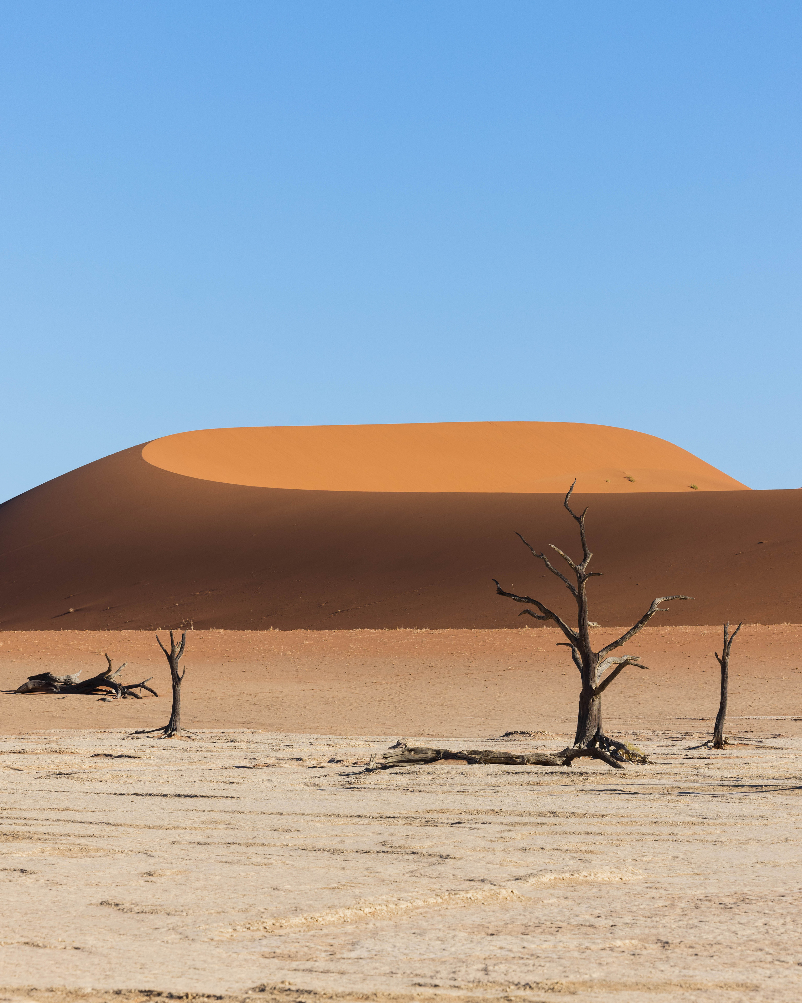 Namibia. Алексей Mollino… Фотографии и немножечко больше