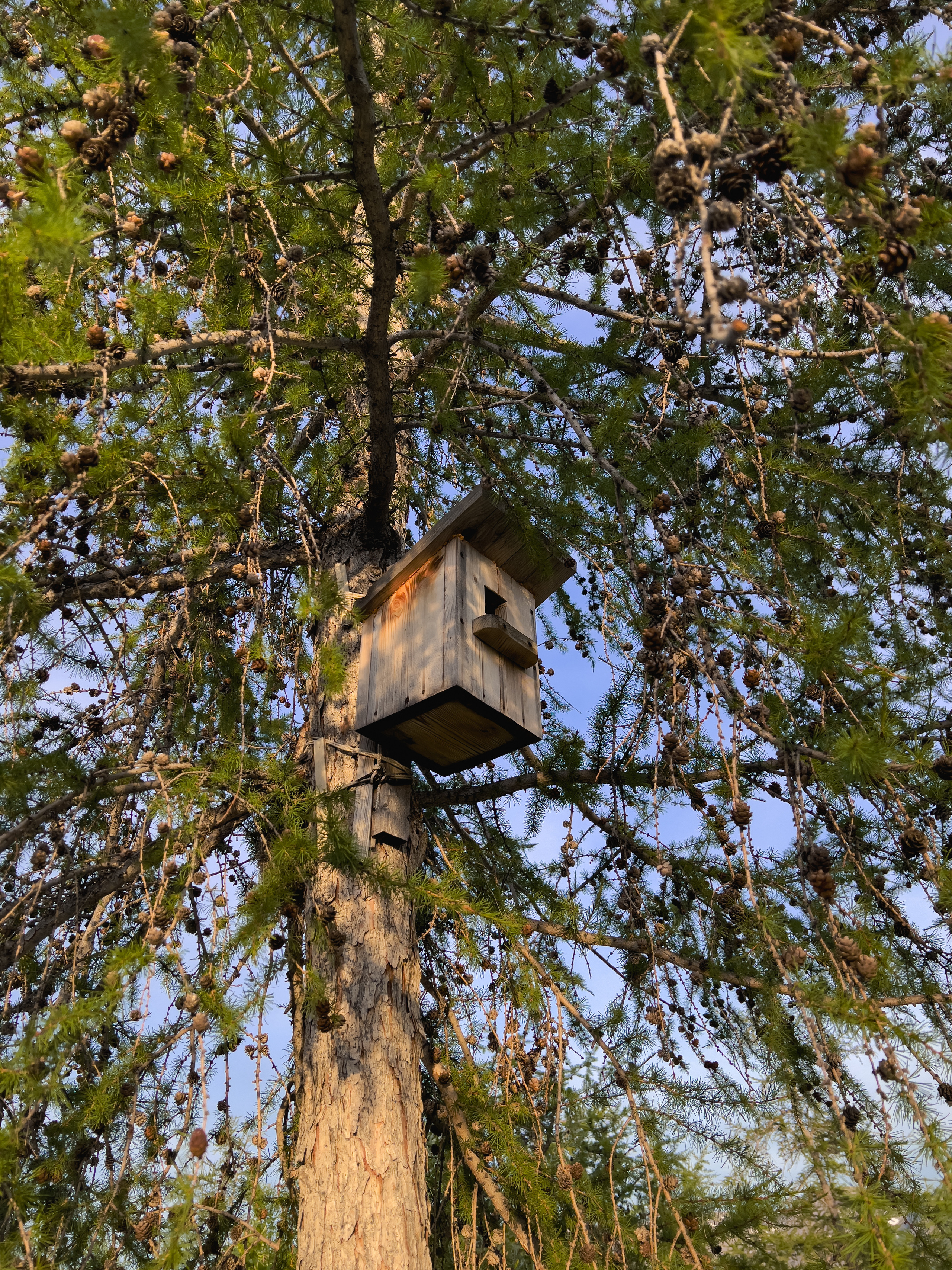TAIMYR. Алексей Mollino… Фотографии и немножечко больше