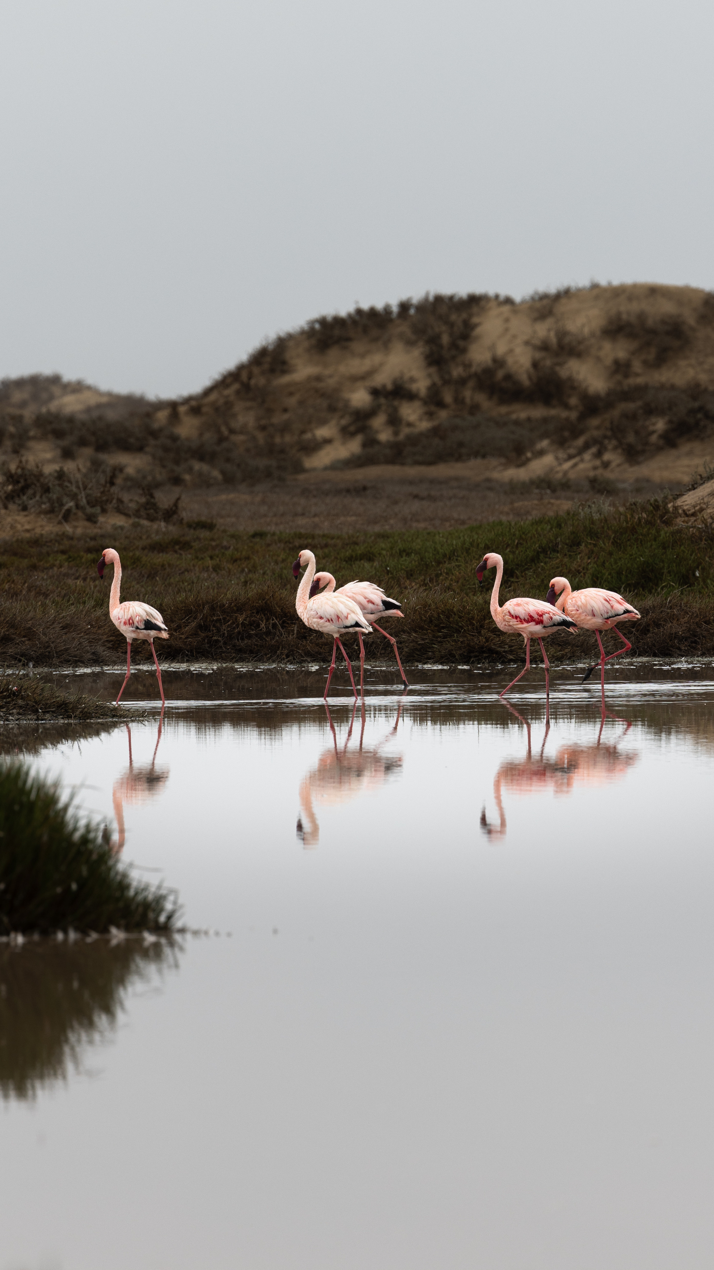 Namibia. Алексей Mollino… Фотографии и немножечко больше