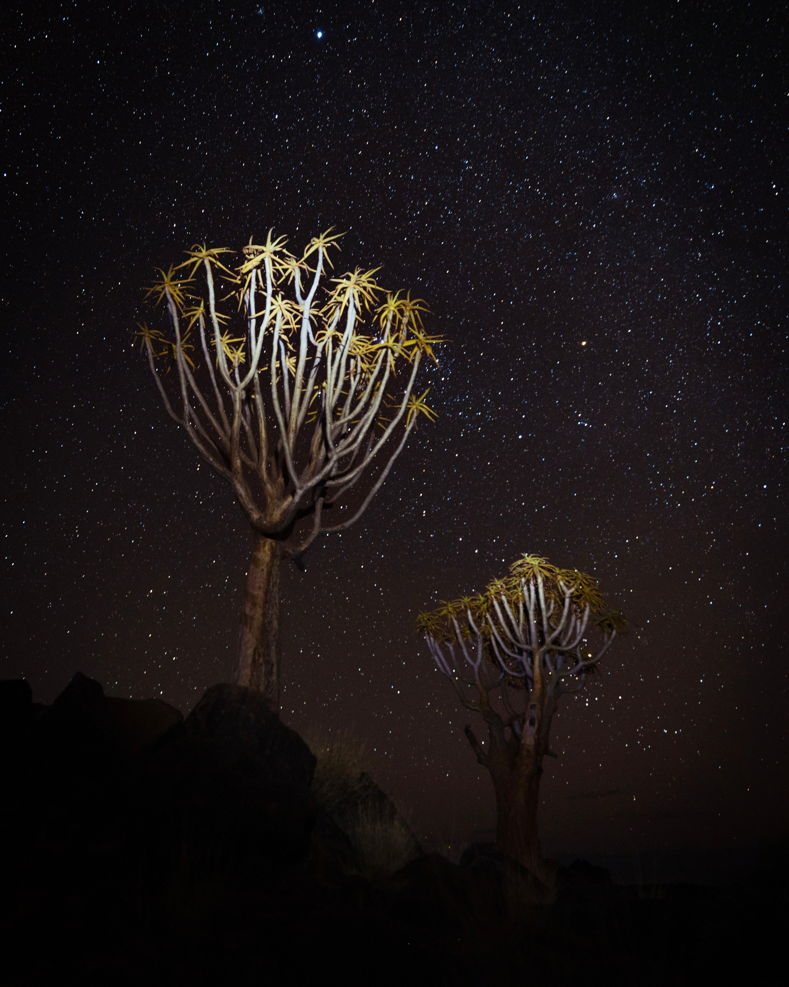 Namibia. Алексей Mollino… Фотографии и немножечко больше