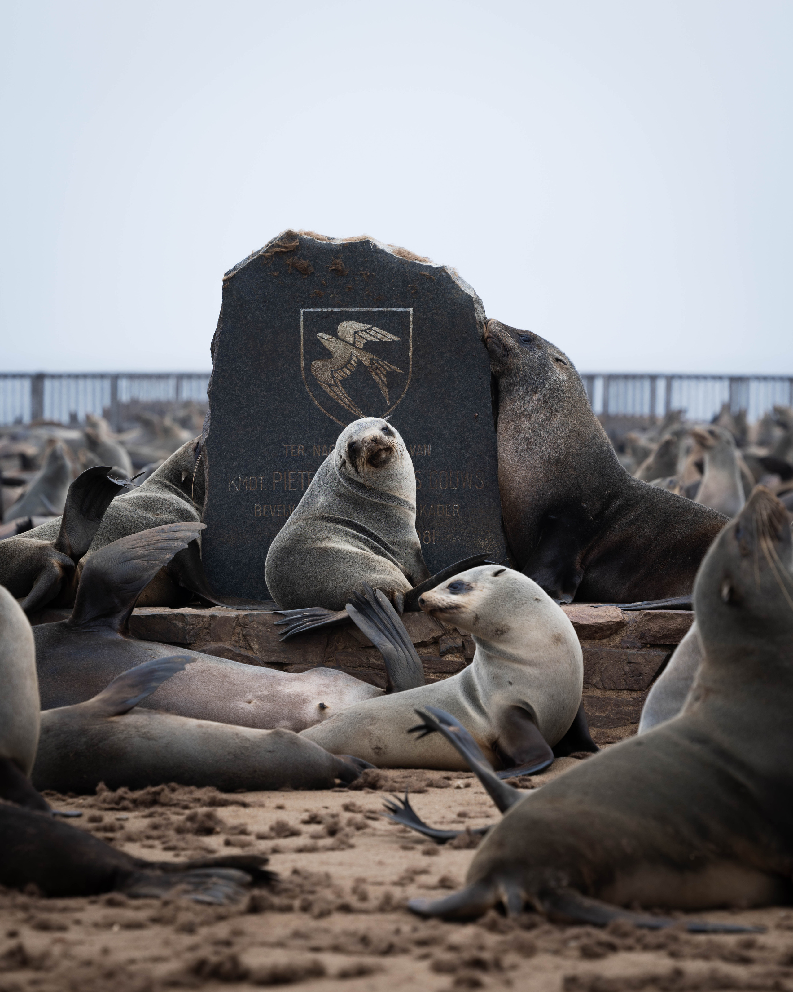 Namibia. Алексей Mollino… Фотографии и немножечко больше