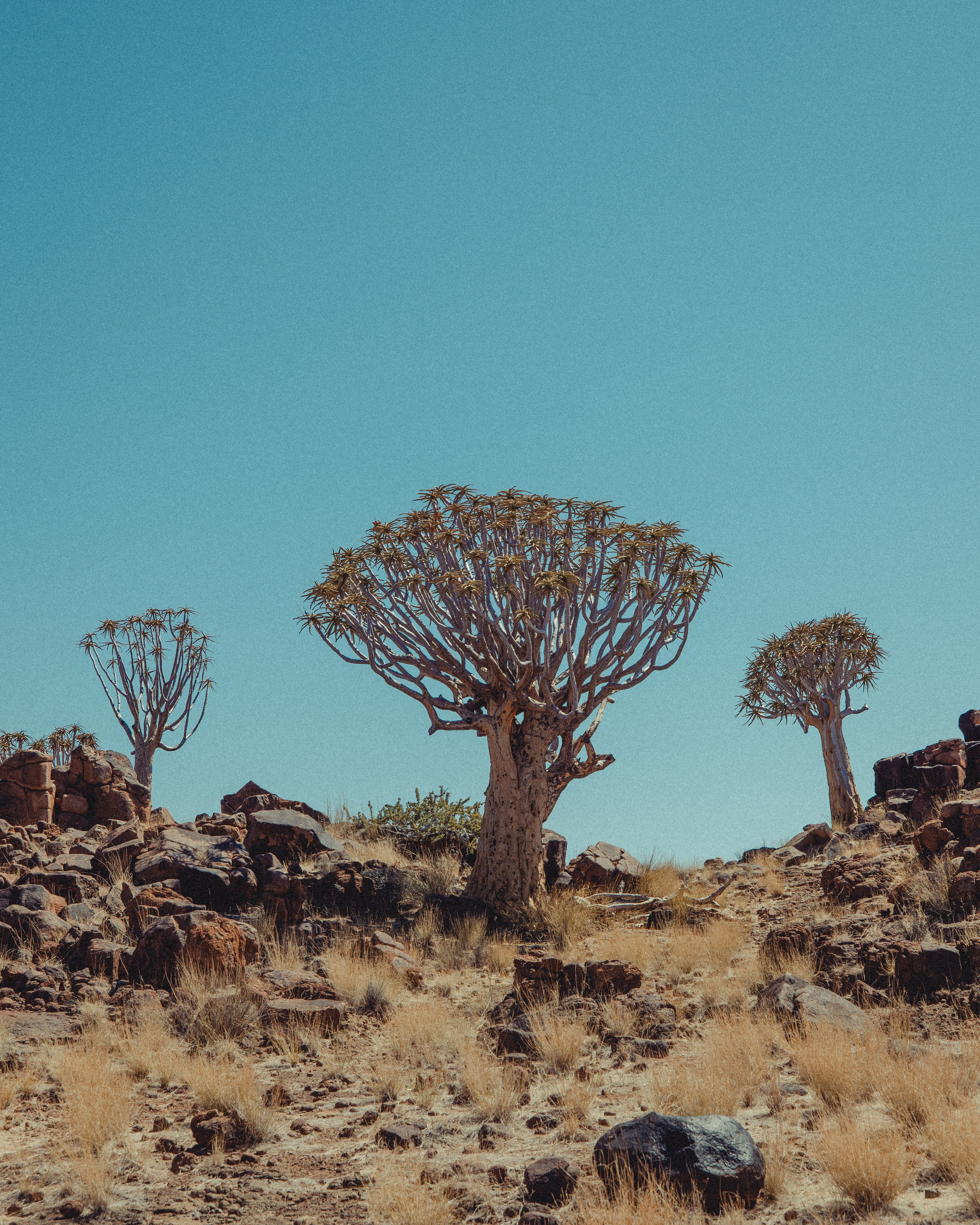 Namibia. Алексей Mollino… Фотографии и немножечко больше