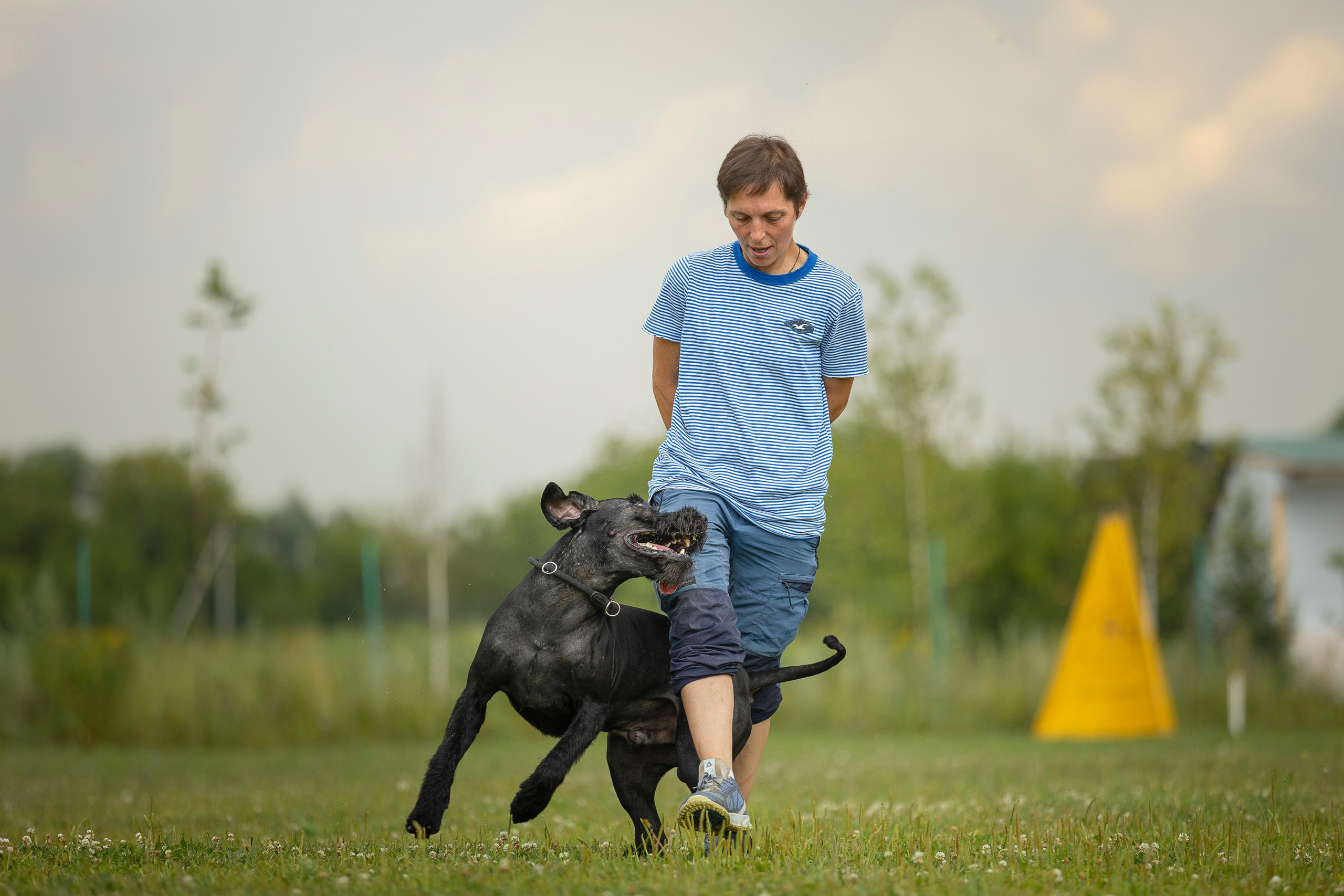 ЗКС. Фотограф анималист, семейный фотограф, фотограф собак Комратова Мария. г. Москва