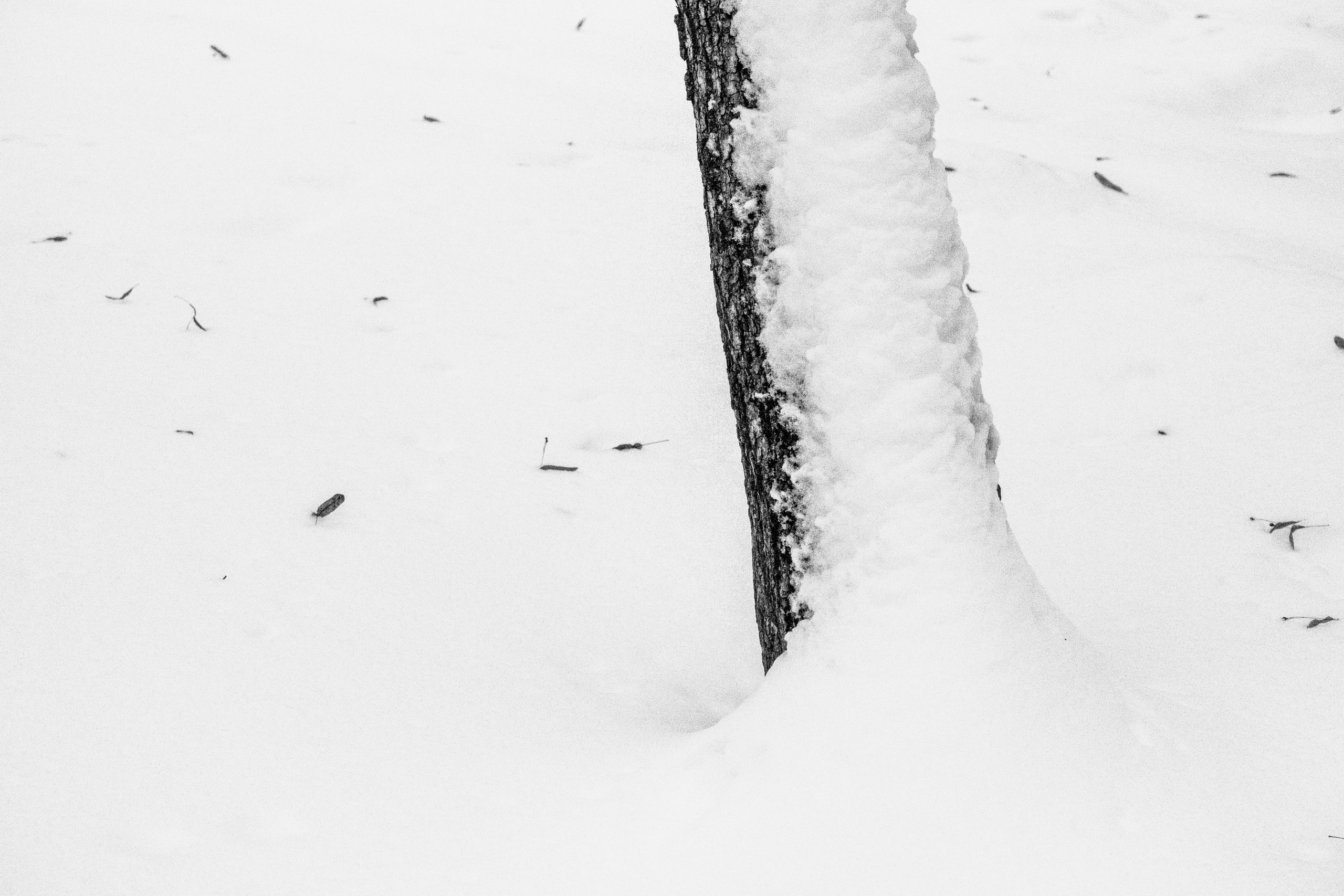 Снег в Москве. Портретный и архитектурный фотограф в Москве и Санкт-Петербурге