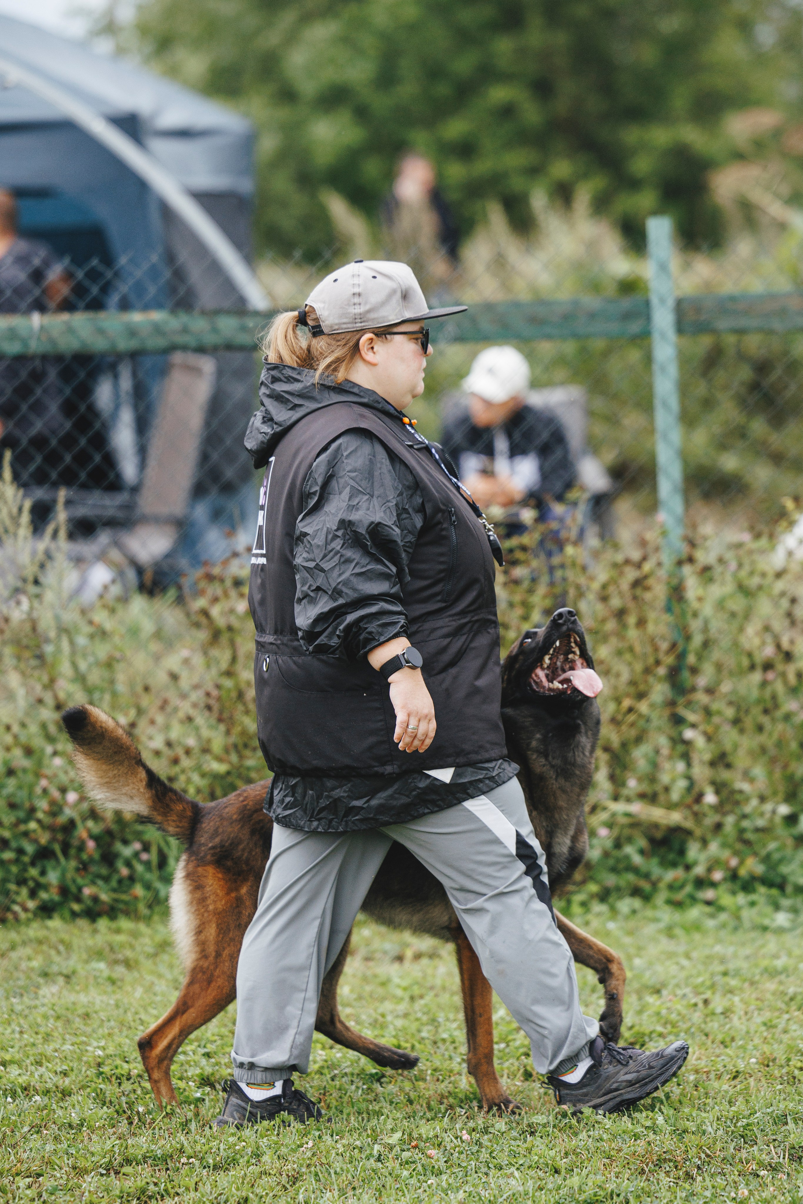 08.08.25-10.08.25 ЧР по мондьорингу г. Вологда. Фотограф-анималист Анна Маринич