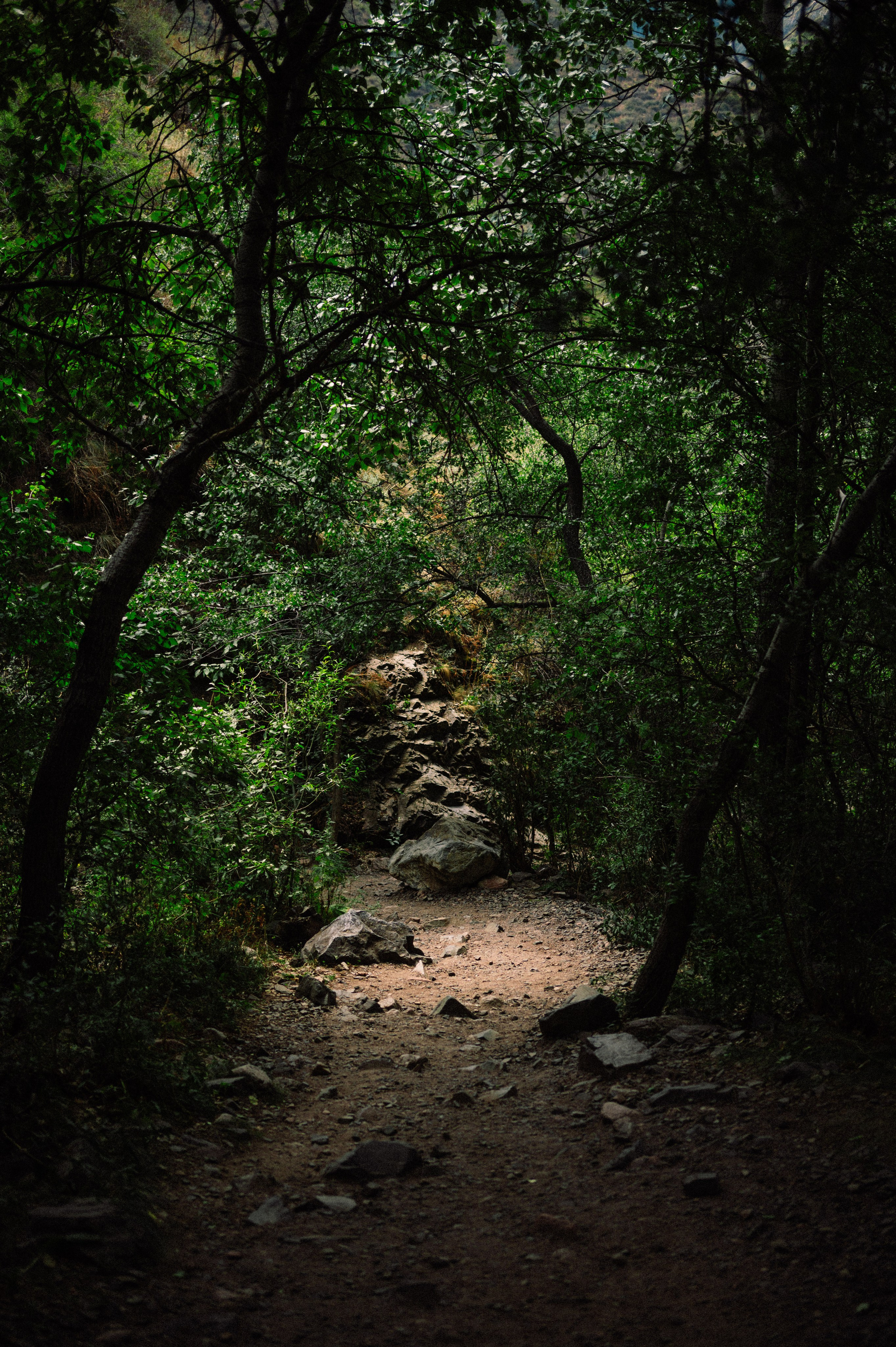 Плато Ассы: июль 2025. Фотограф в Алматы — Дарья Фёдорова