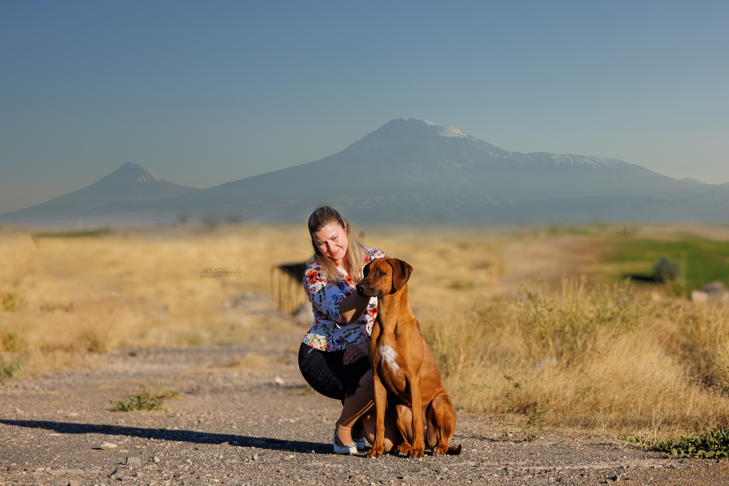Ереван 14-16.10.2025. Фотограф-анималист Юлия Германика