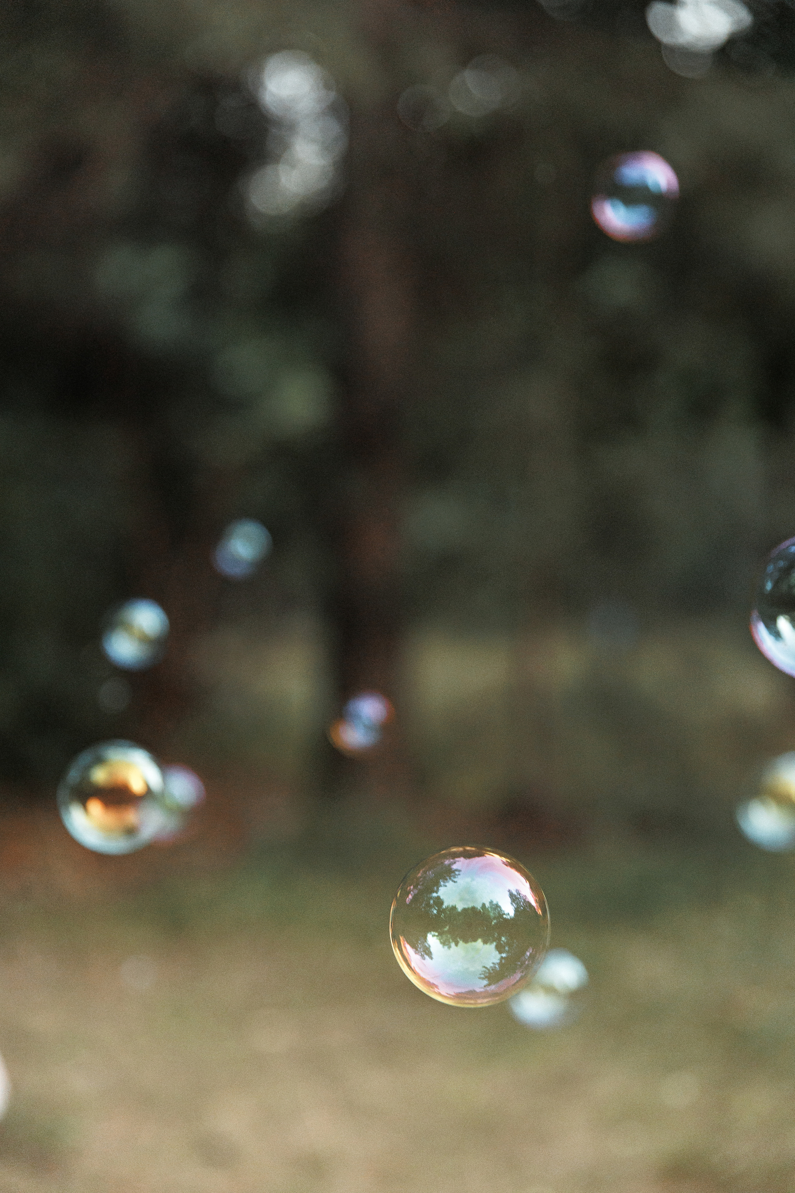 Никита, Мария и Яна