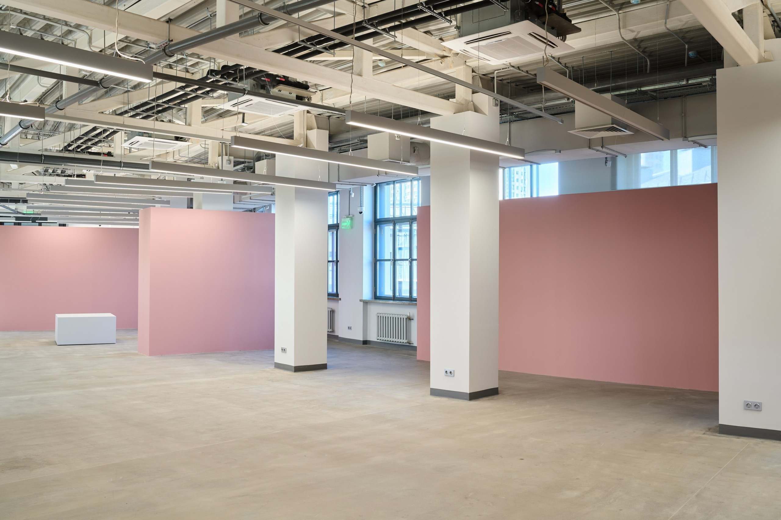 Открытие филиала Третьяковской Галереи. Фотограф Евгений Шаров