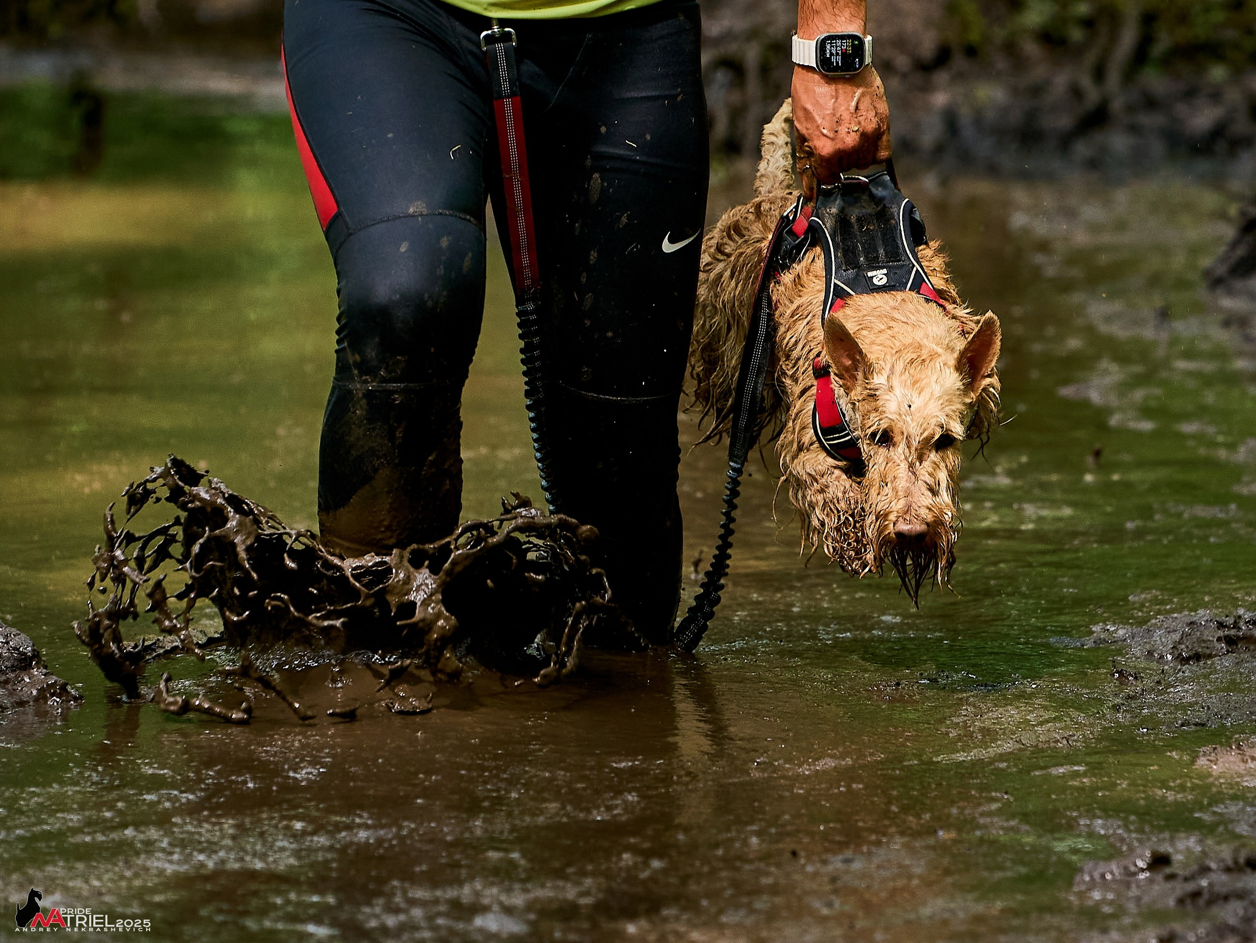 Russian Extreme Dog Trail — 2025