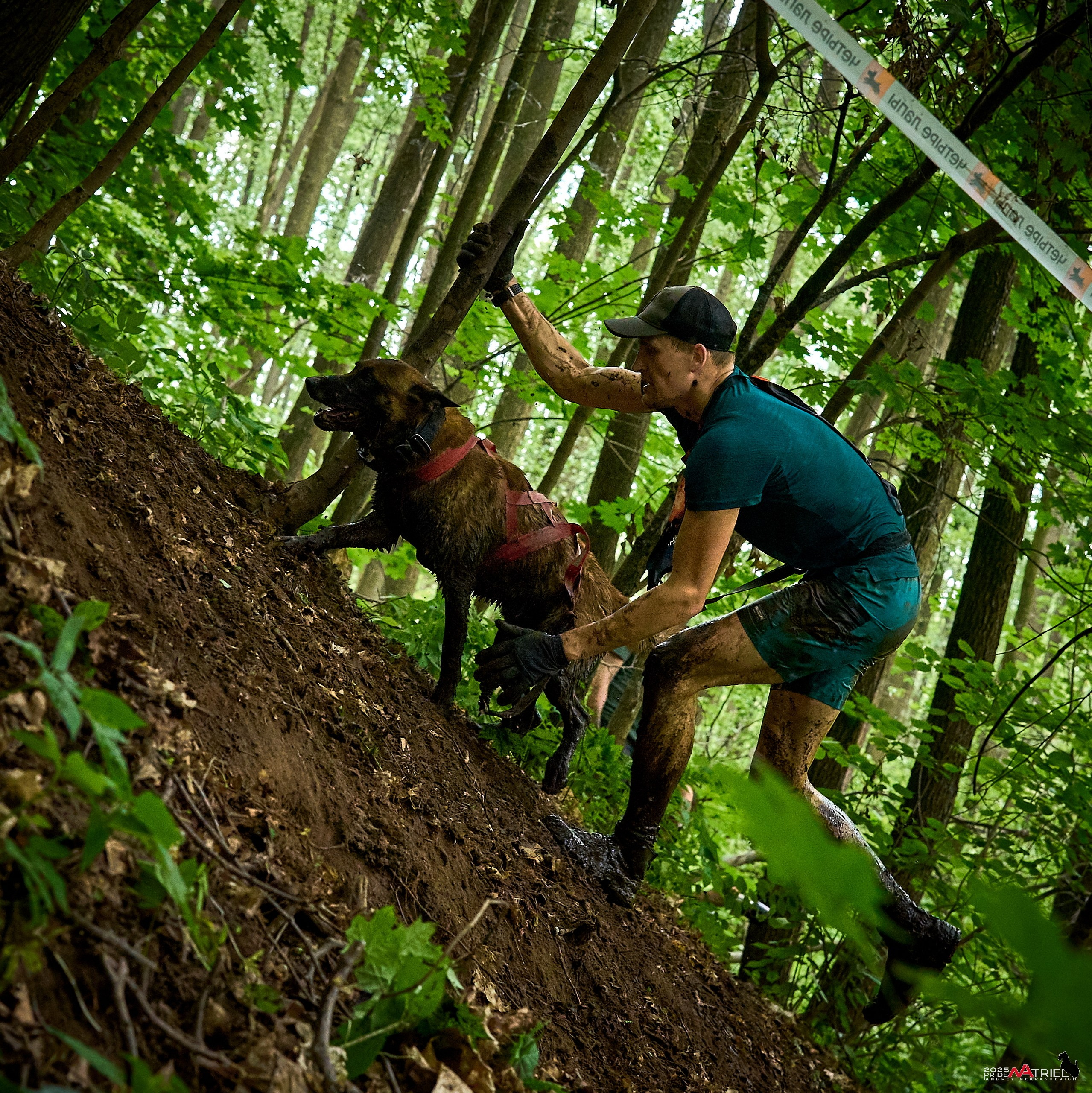 Russian Extreme Dog Trail — 2025