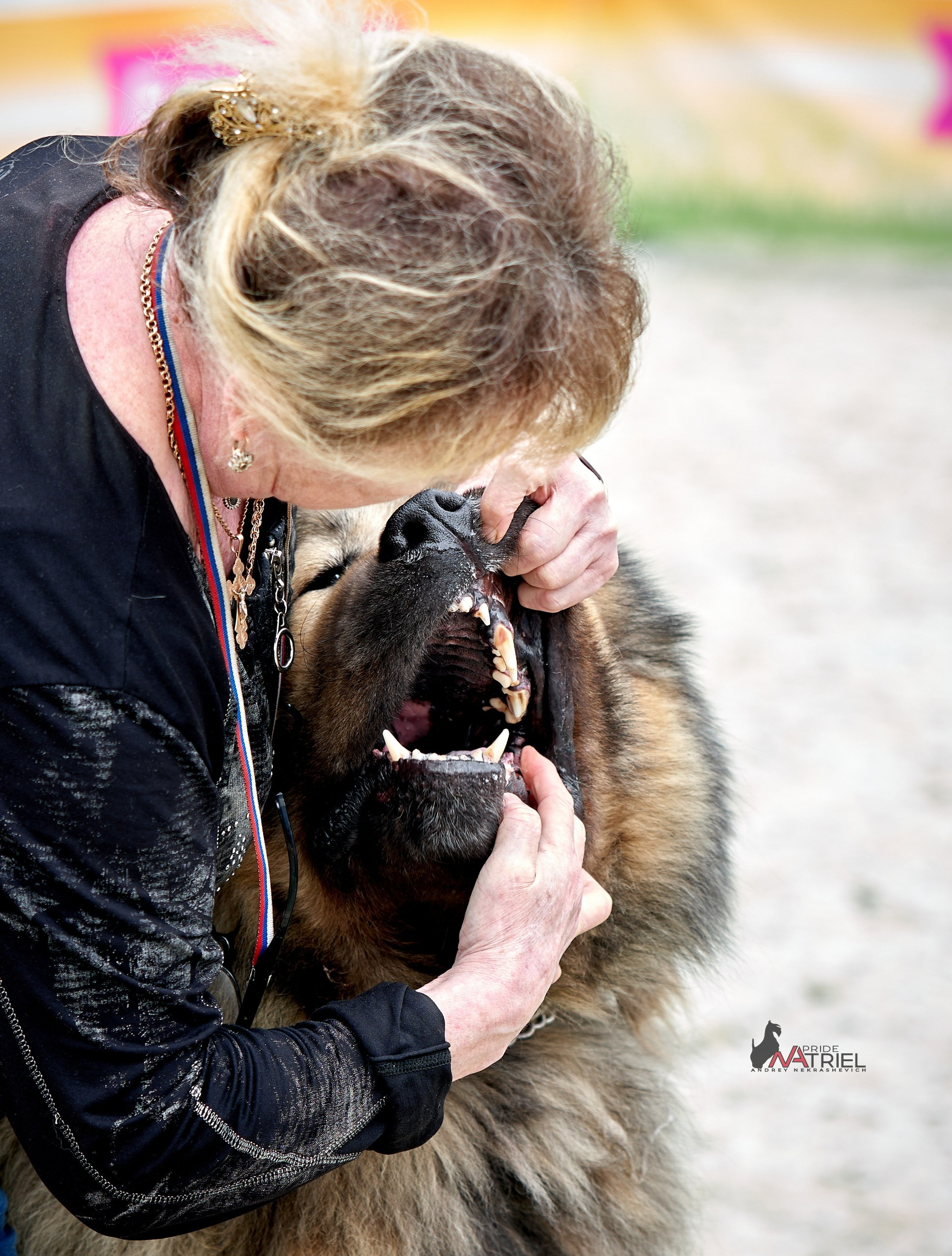 Работа в рингах — галерея NATRIEL