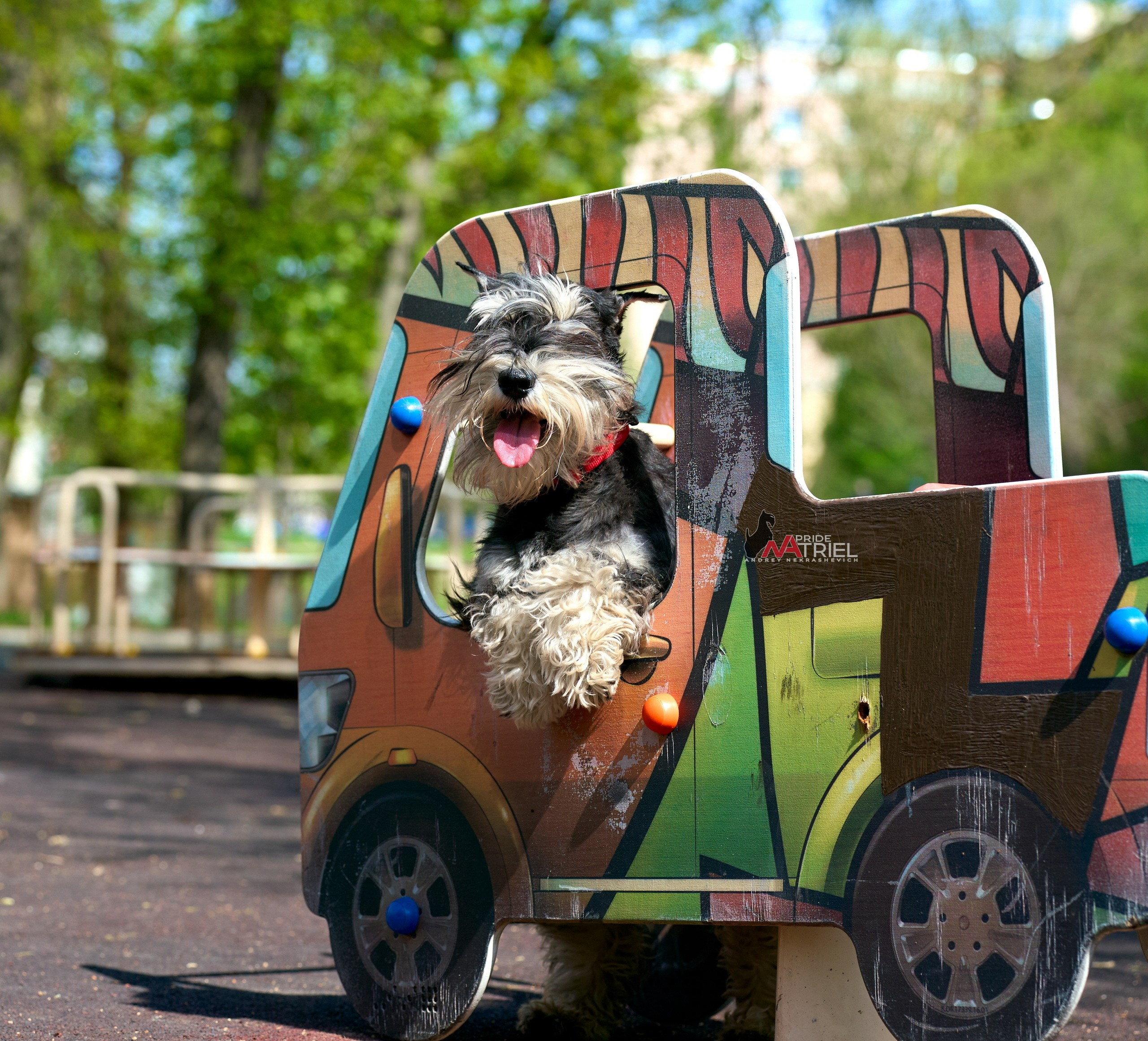 Портреты собак — галерея NATRIEL