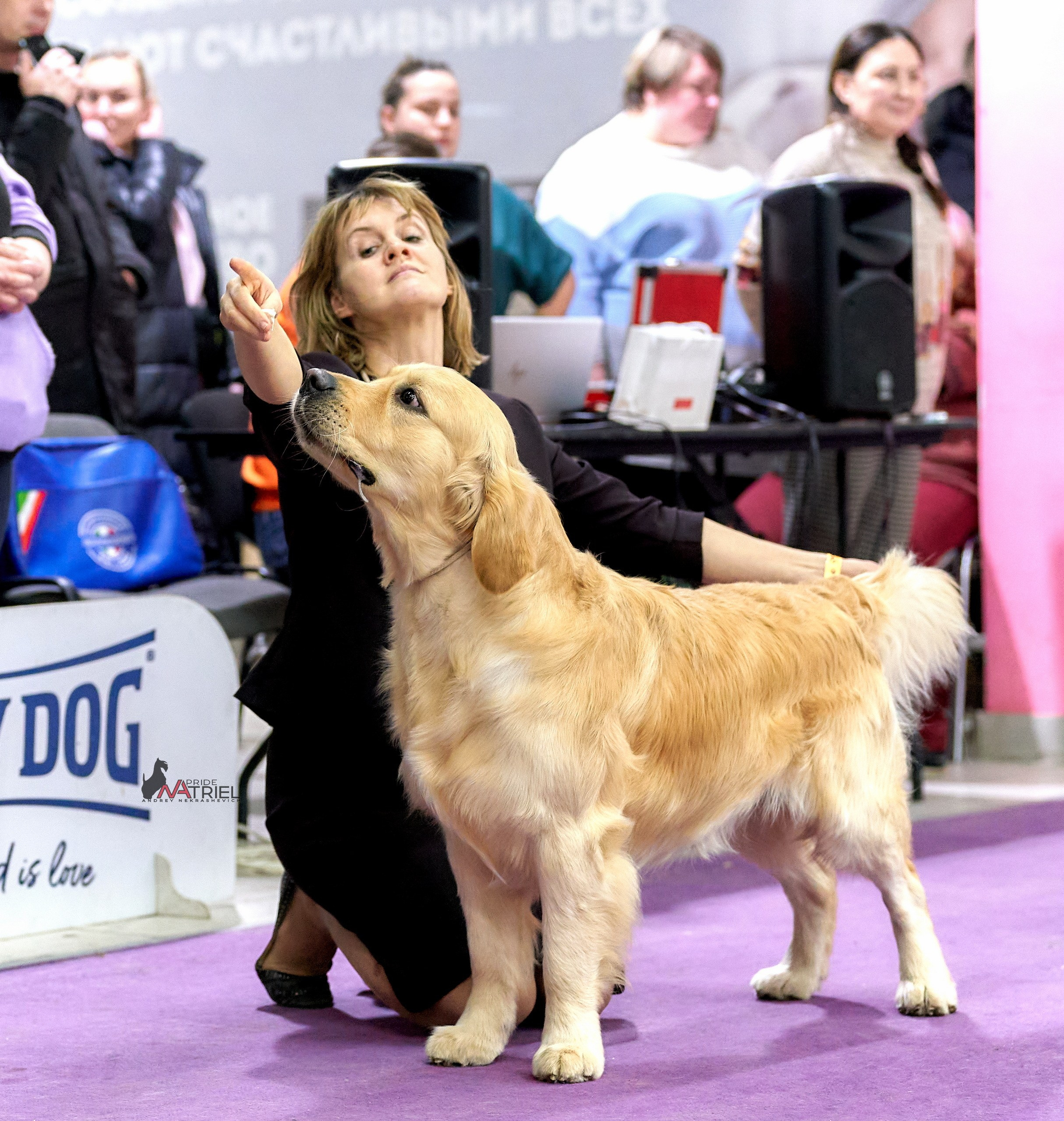 Работа в рингах — галерея NATRIEL