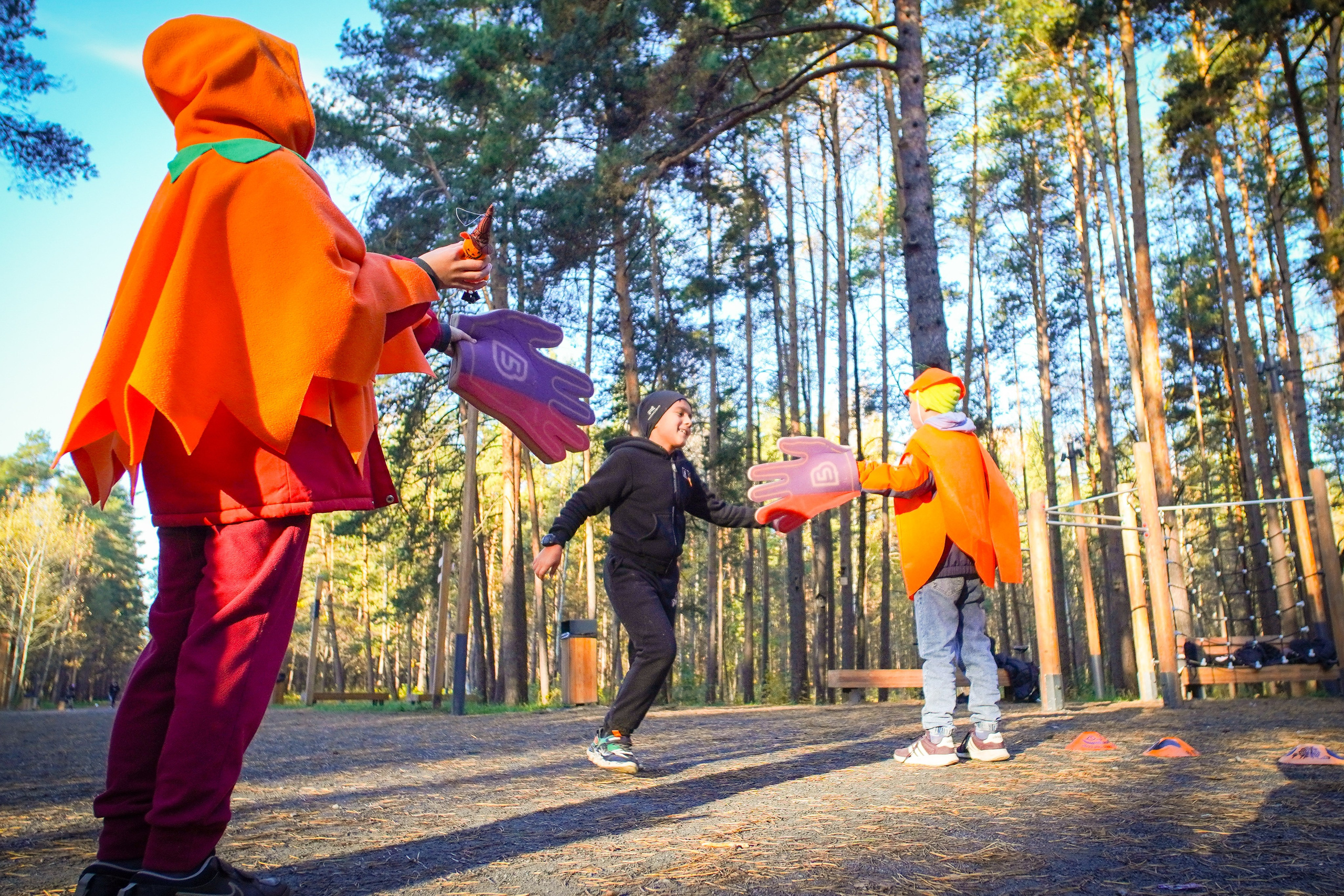 5 вёрст Томилинский 26 октября 2024. Роман Капилюшов. Бег. Фото. Видео. г. Люберцы