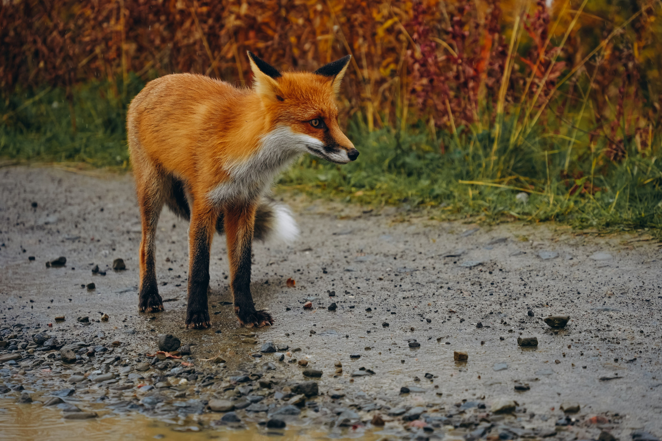 СЕВЕР. Event фотограф Степанова Александра