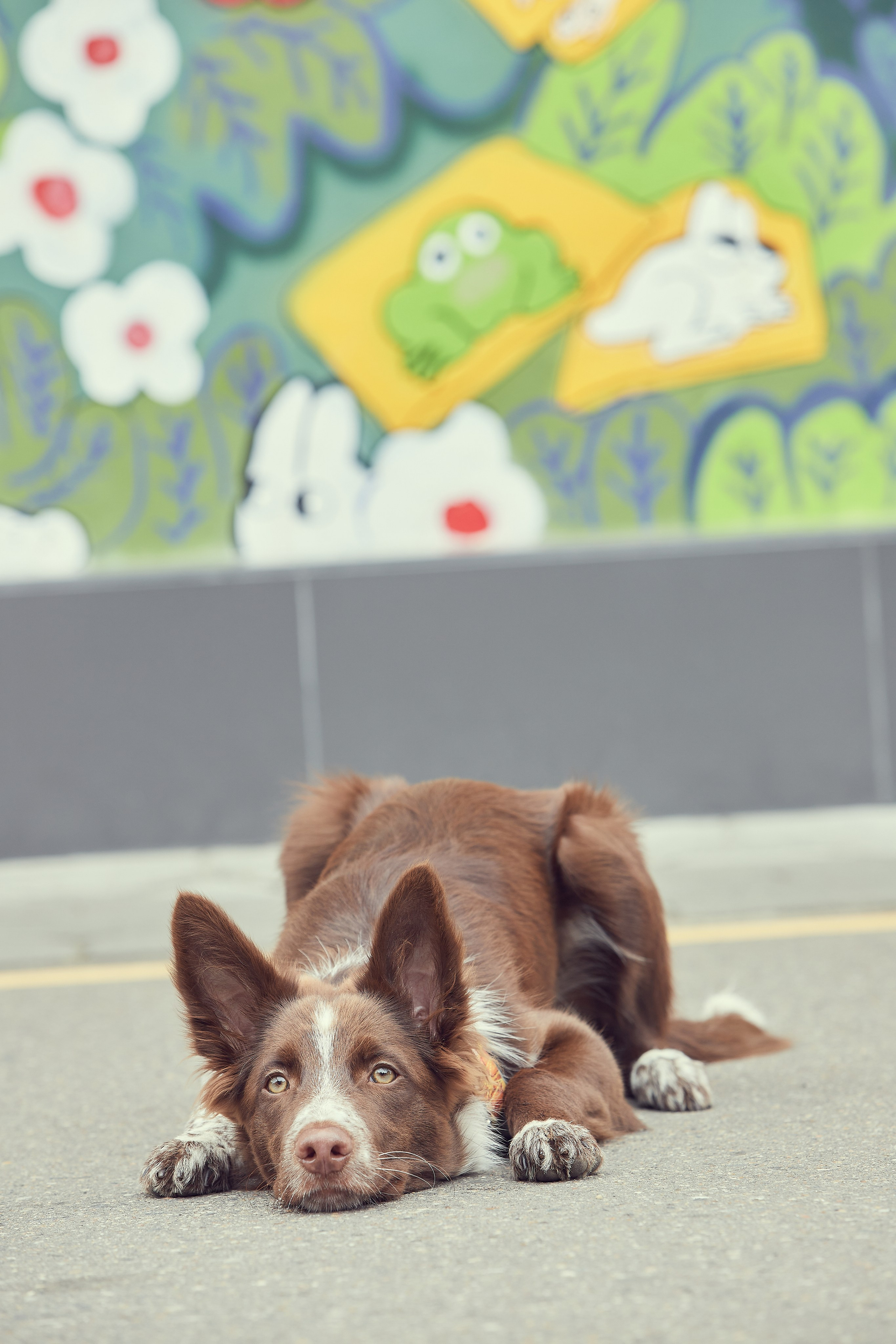 Портретная фотосессия Софы и питомцев. Екатерина Осипова — профессиональный фотограф в Москве