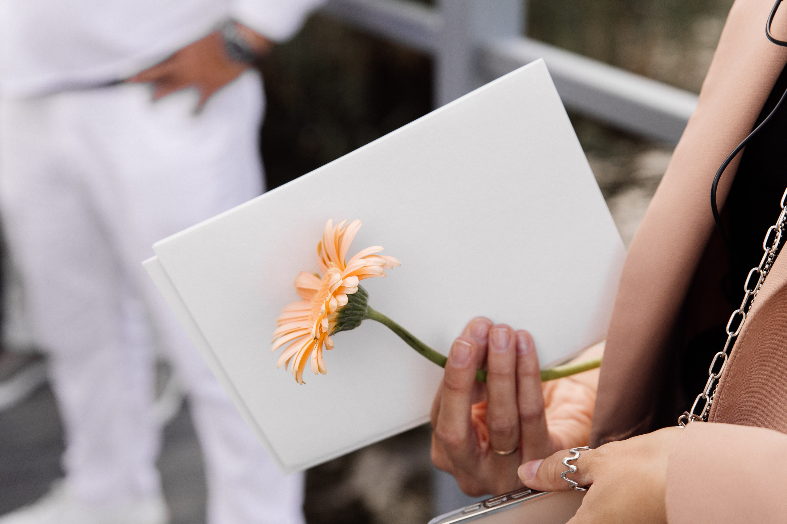 Настя и Леша. Семейный свадебный фотограф Семен Егоров