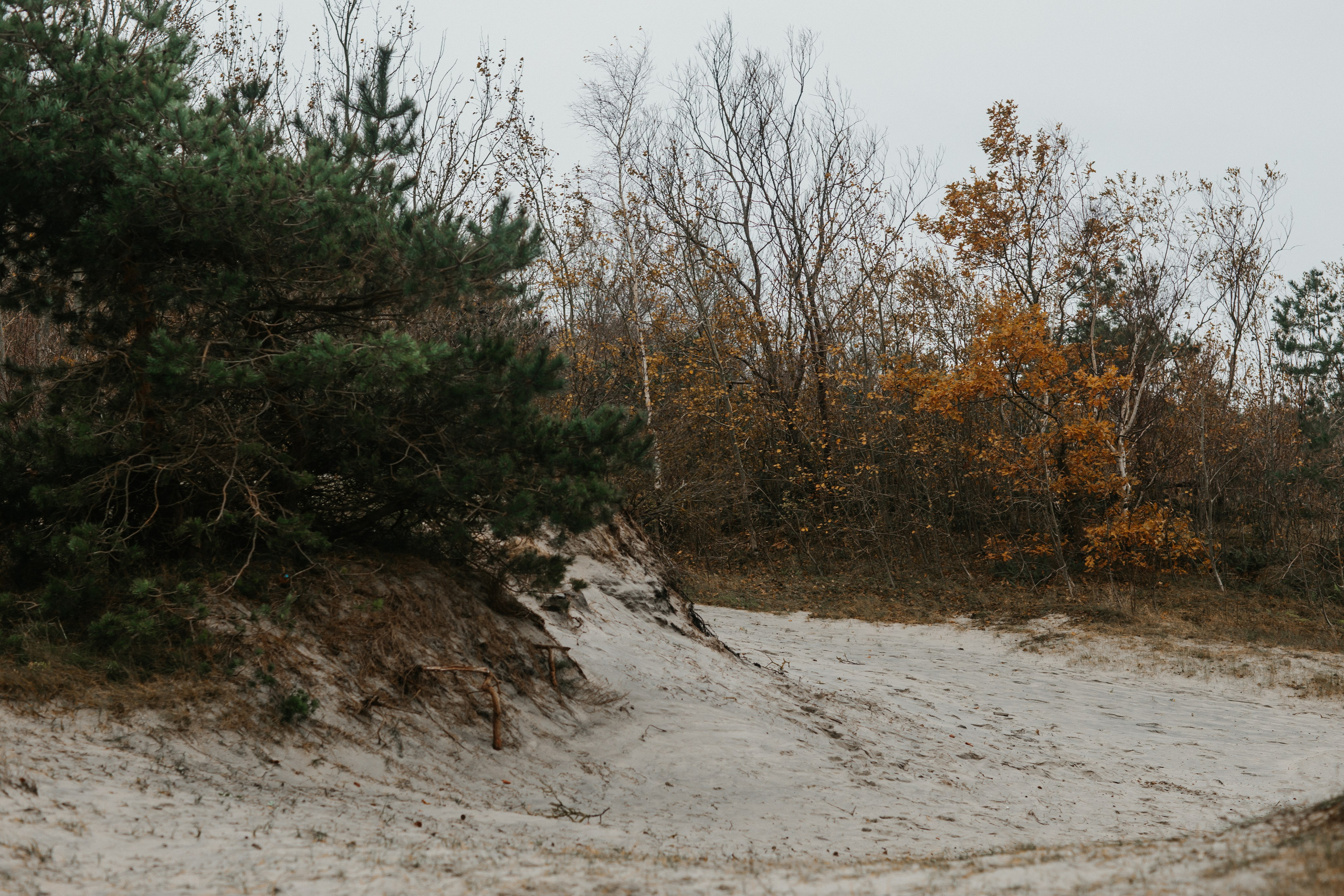 Фотосессия в Балтийске. Https://malovafoto.ru