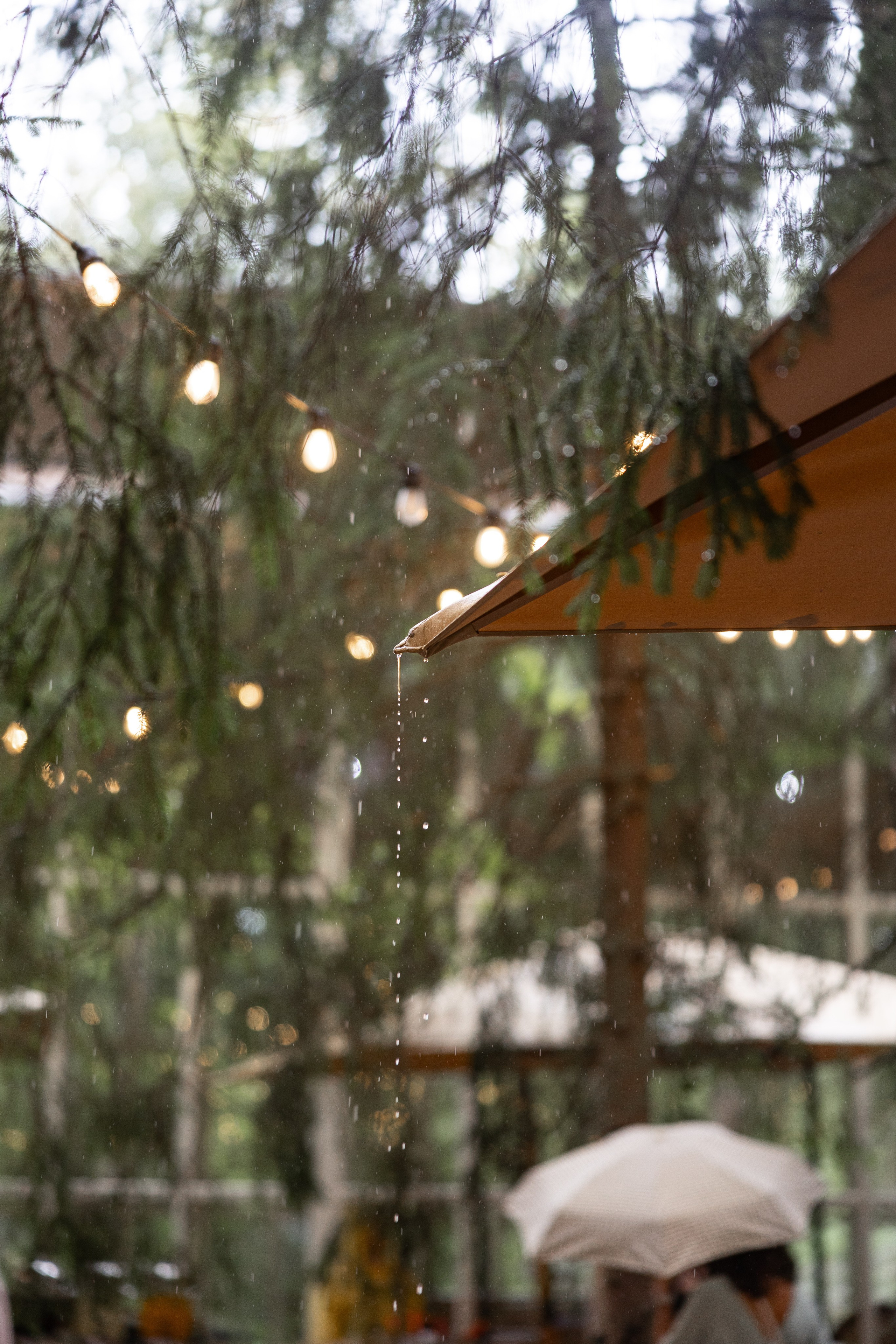 Съемка для Just mood wedding agency. Свадебный и семейный фотограф Москва Екатерина Верижникова