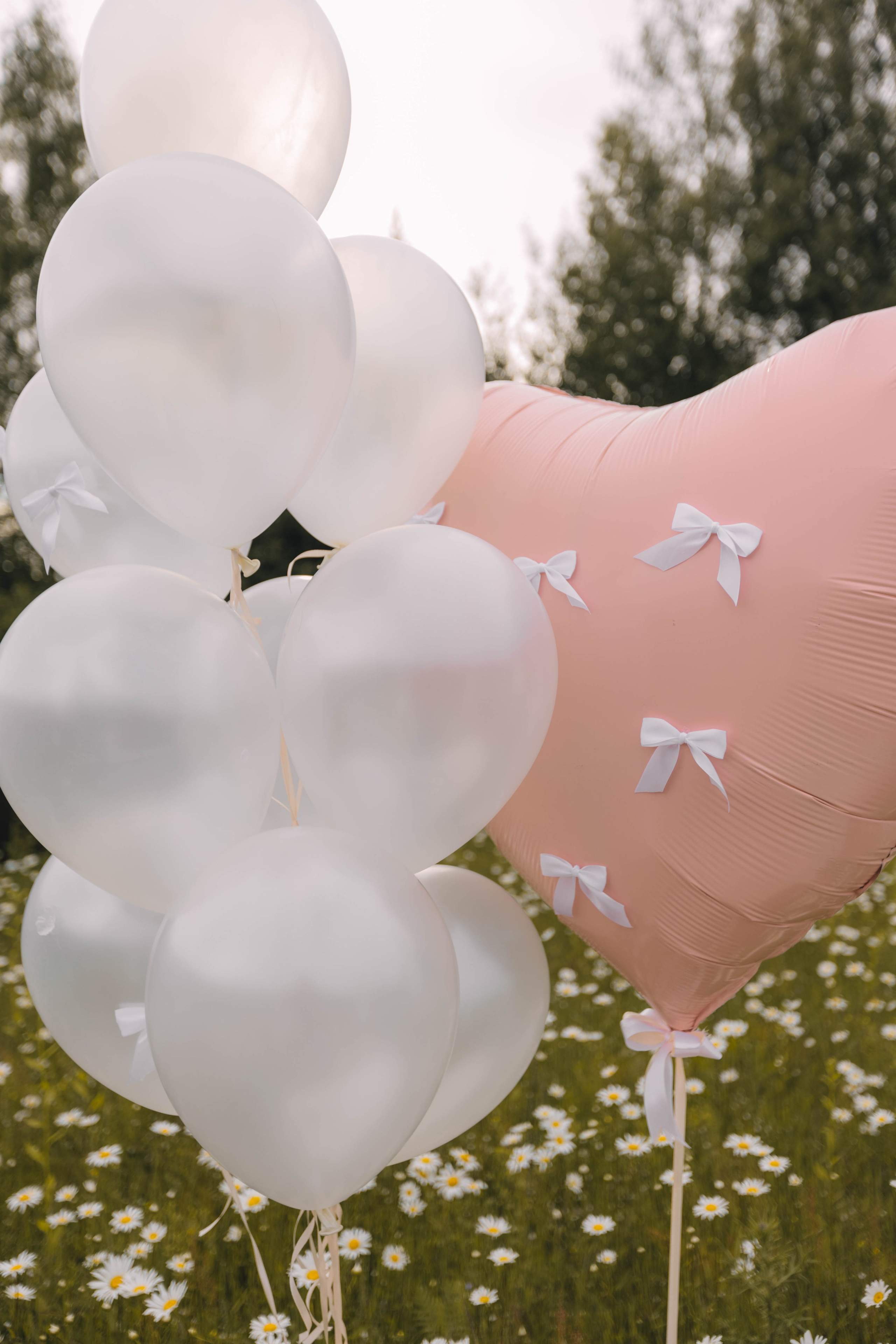 День Рождения :)