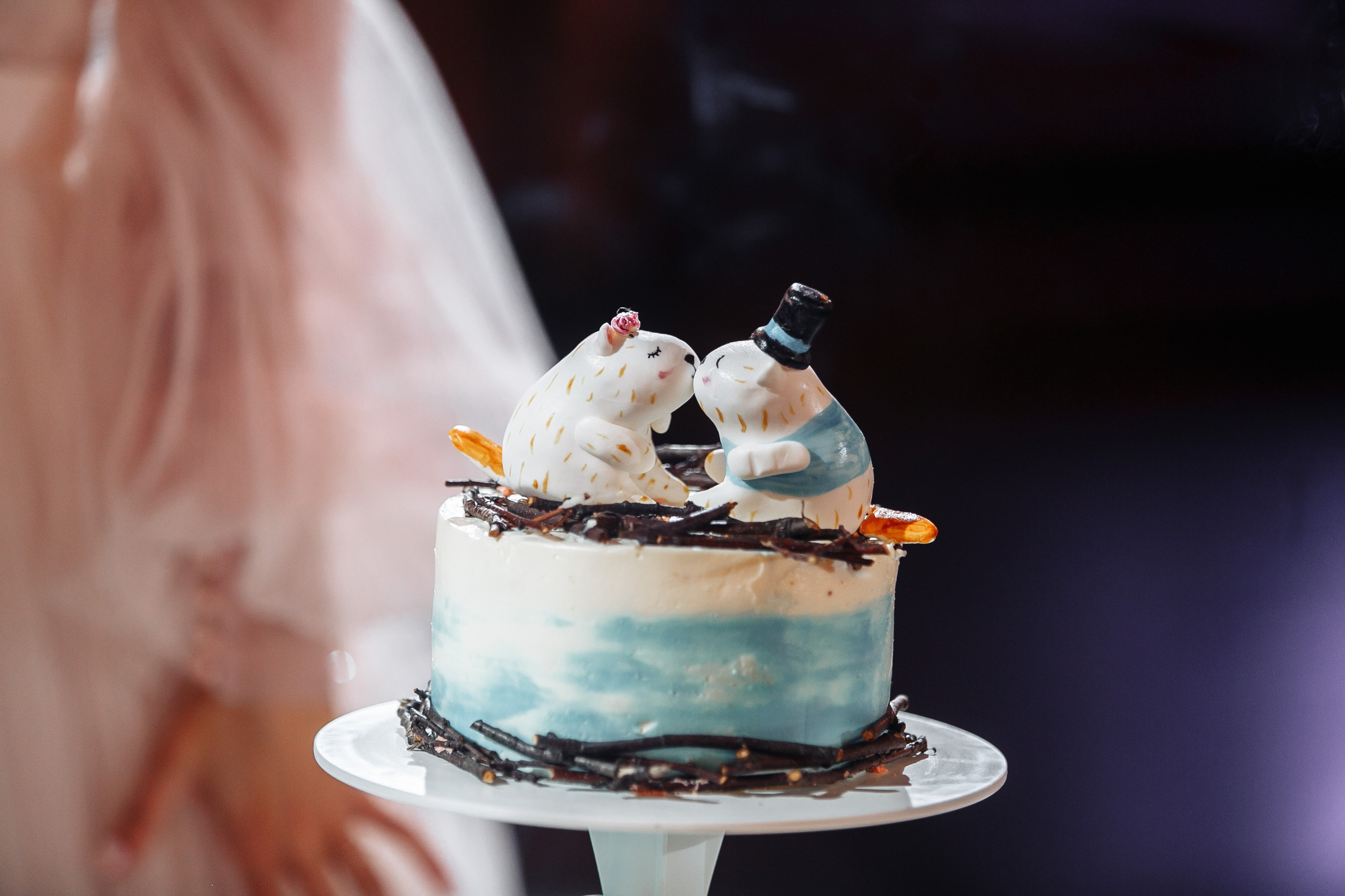 Свадьба Романа и Анастасии. Свадебный фотограф СПБ