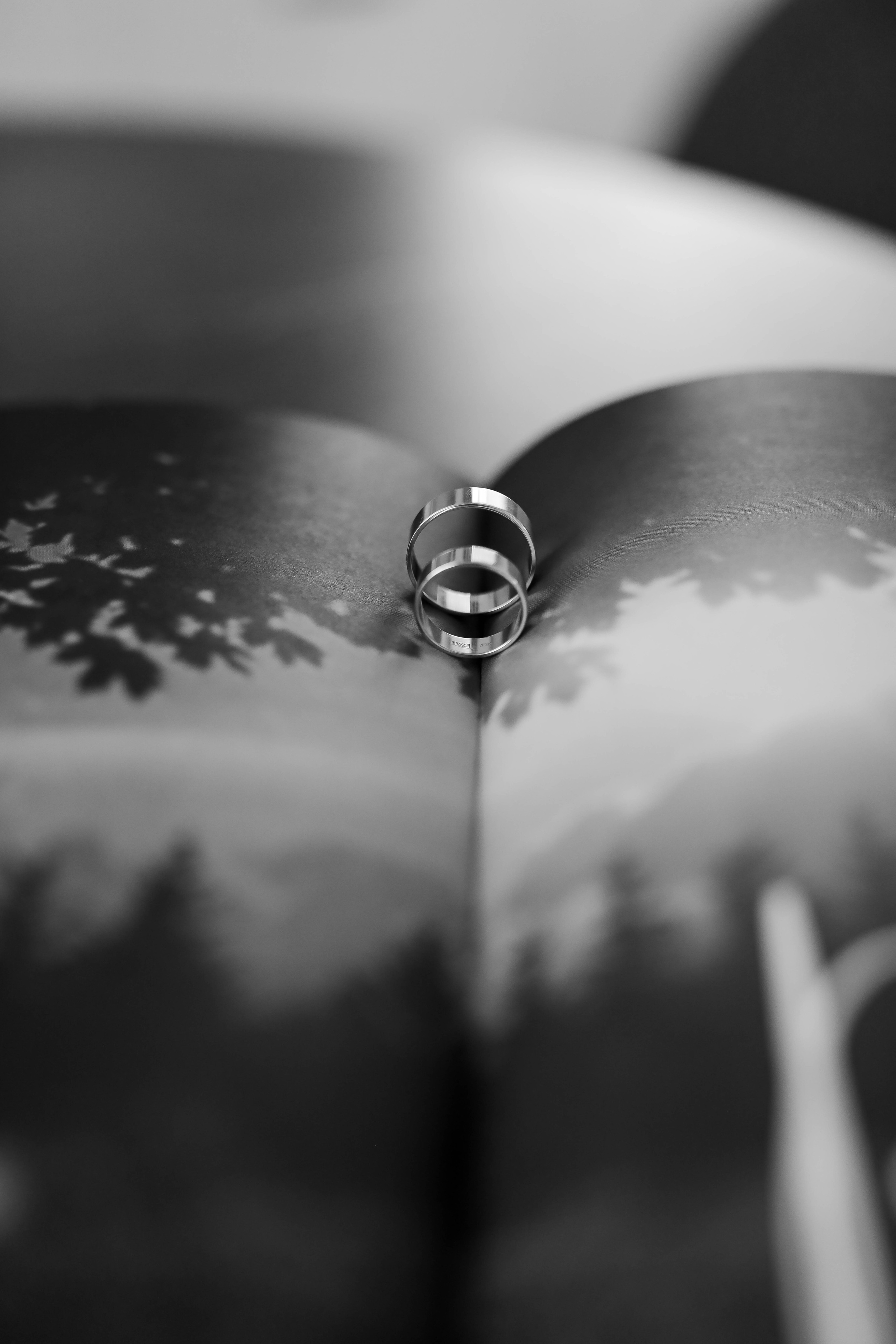 Виолетта & Сергей. Школьный и свадебный фотограф Екатерина Салмина