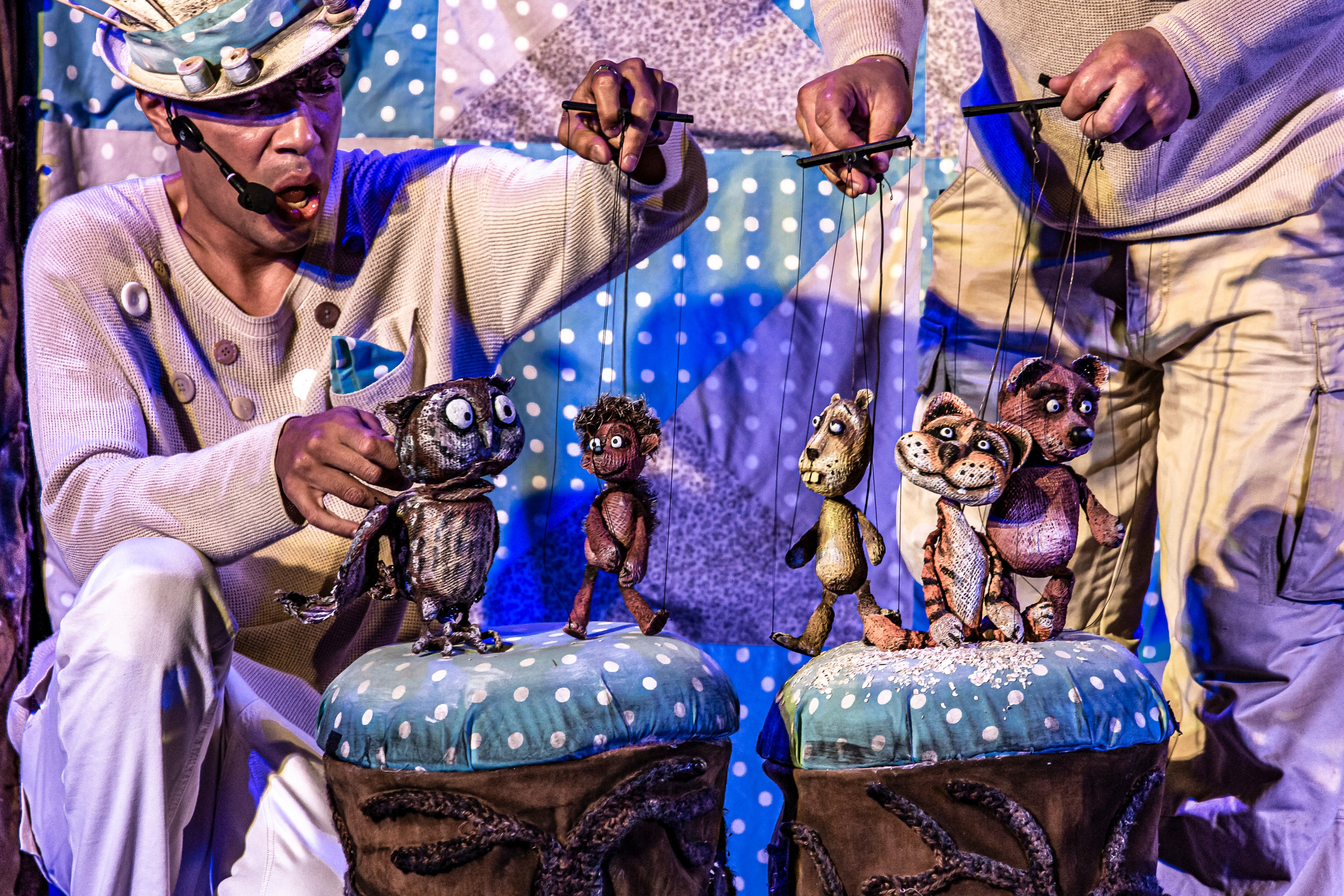 Колючая сказка. Фотограф в Сочи Юрий Шептаев