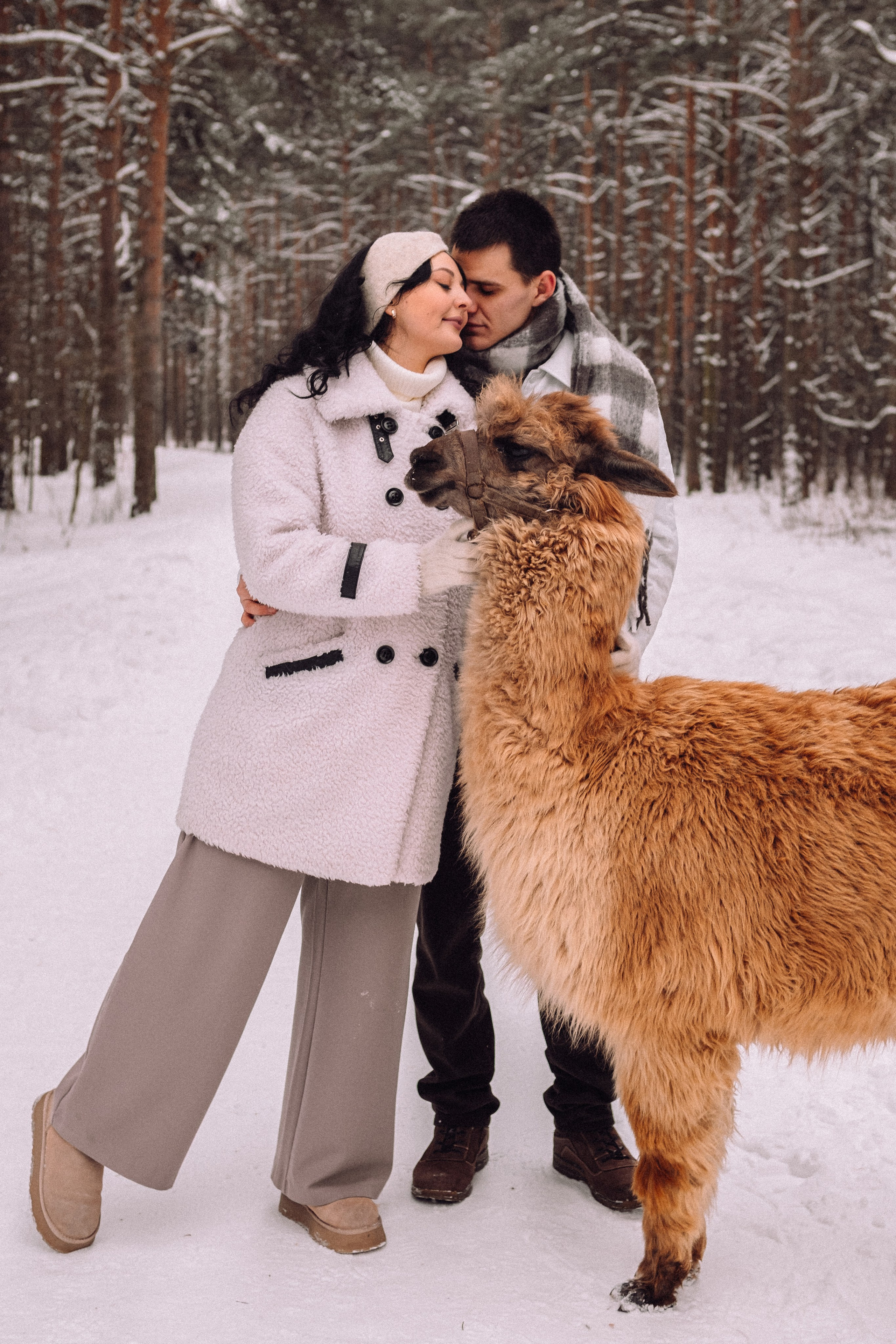 С Альпакой. Фотограф в Санкт-Петербурге Кристина Брянская