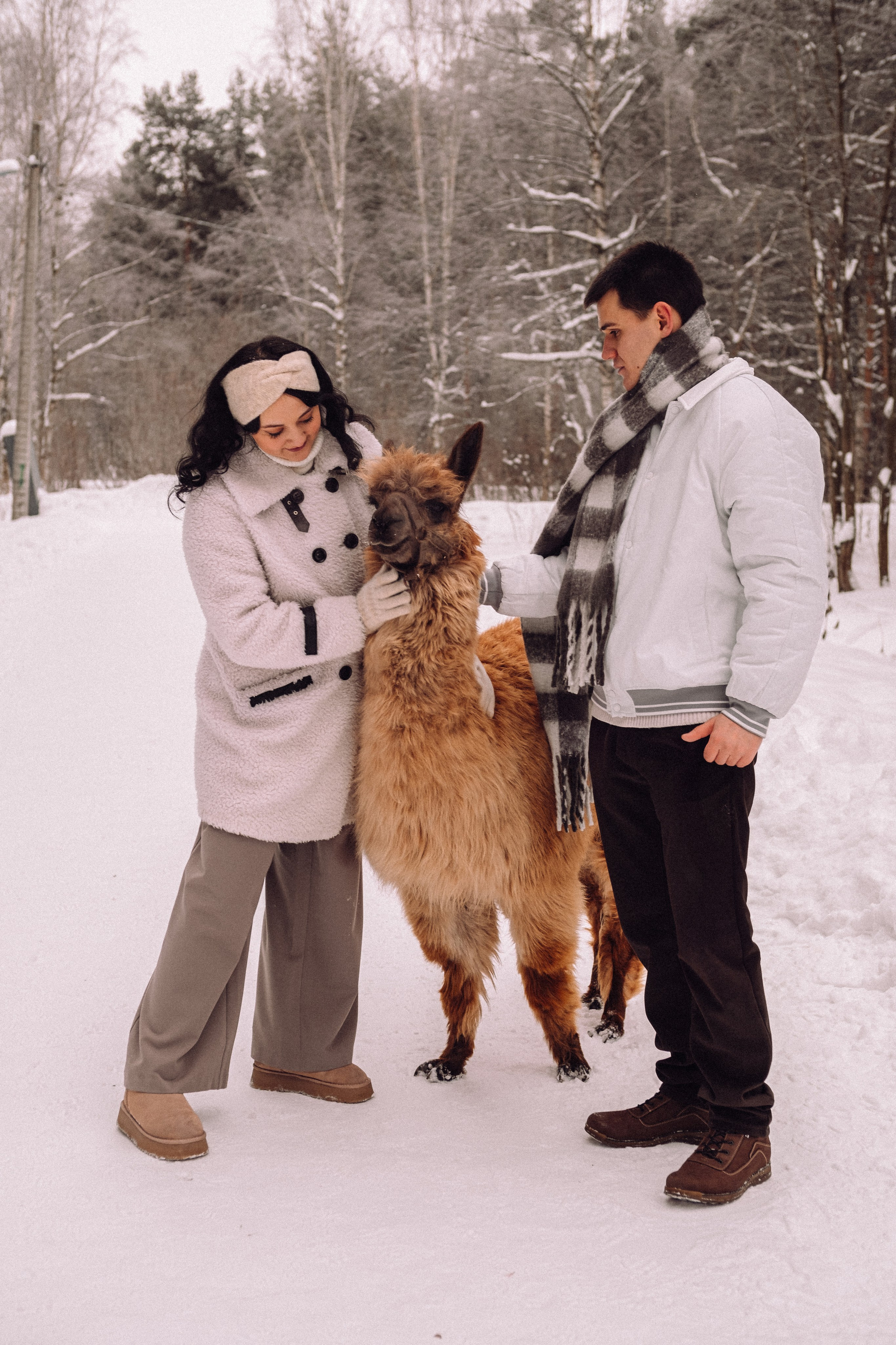 С Альпакой. Фотограф в Санкт-Петербурге Кристина Брянская