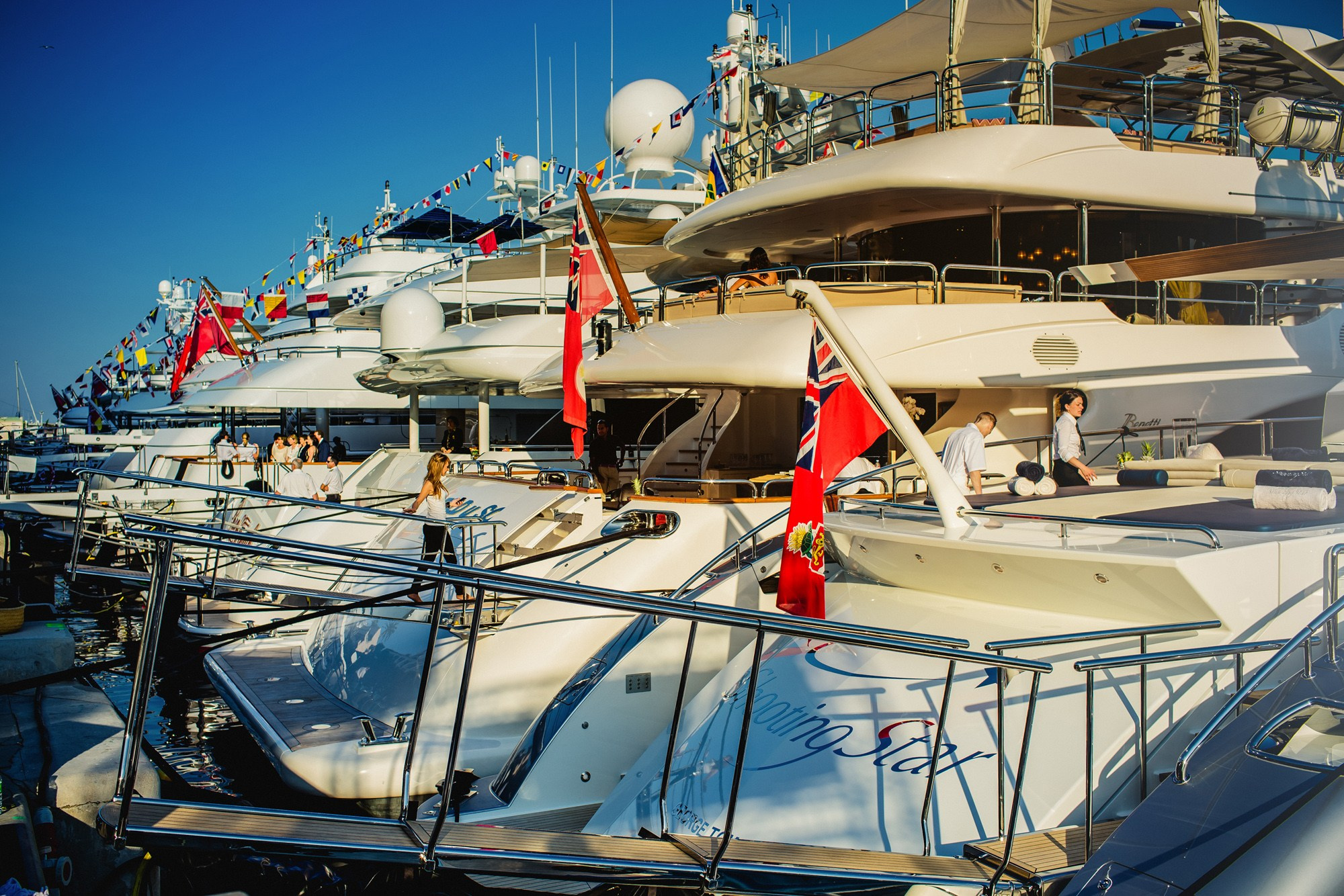 Report VIII. Veedoff