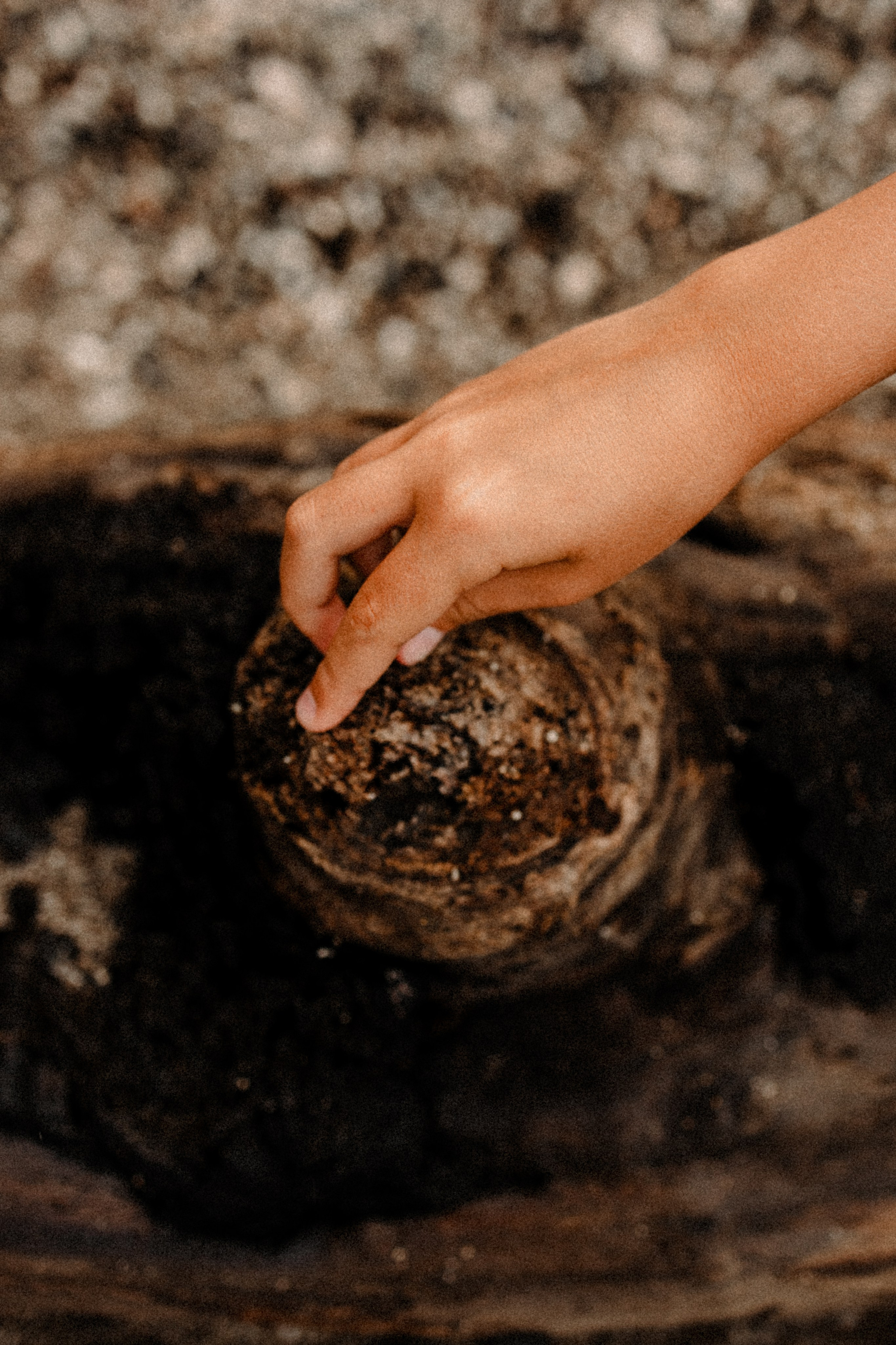 Ринат, Майя, Ляйсан и Амина. Семейный фотограф Москва