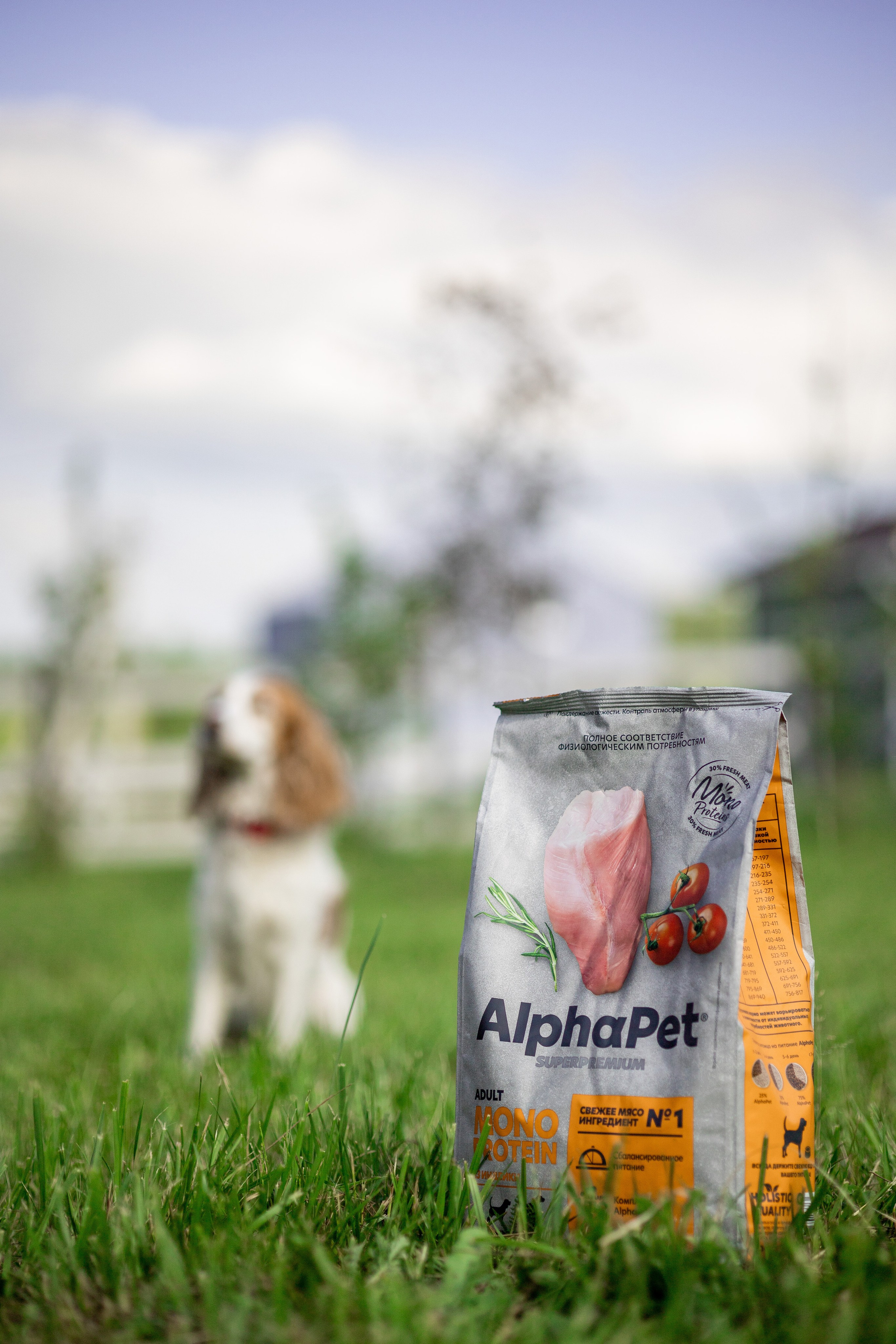 Корм AlphaPet. Анастасия Белаш