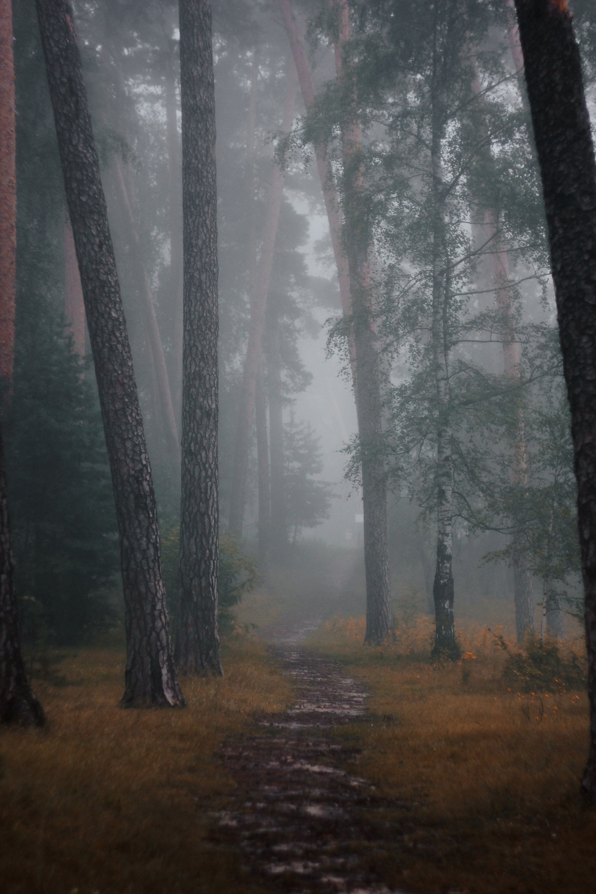 Меланхолия августа. С любовью, фотохудожник